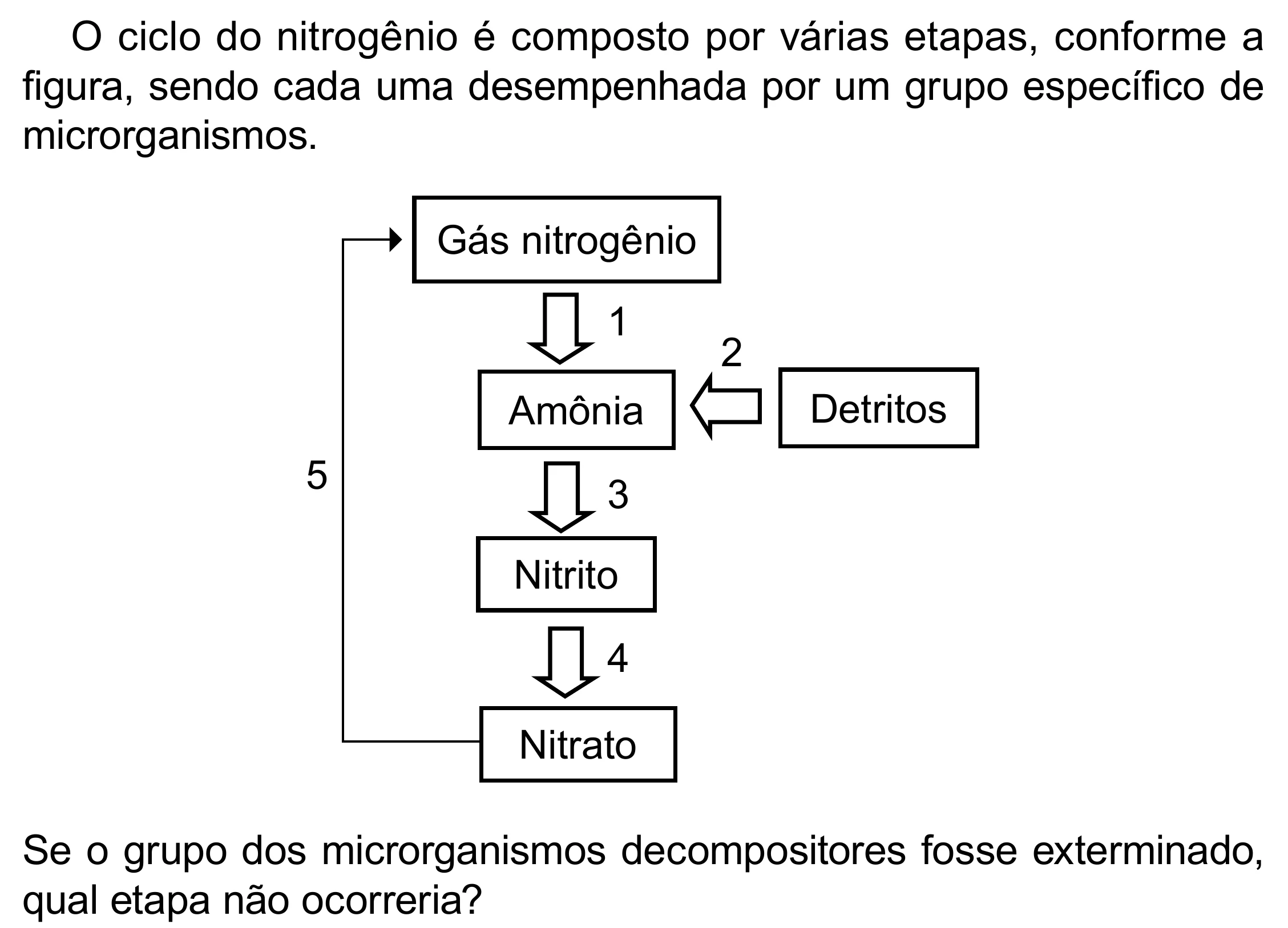 Enunciado original completo da questão 111 do ENEM 2023 - 2º Dia – Caderno 12 – Verde (Libras) – Aplicação Regular - (Superampliada), página 24.