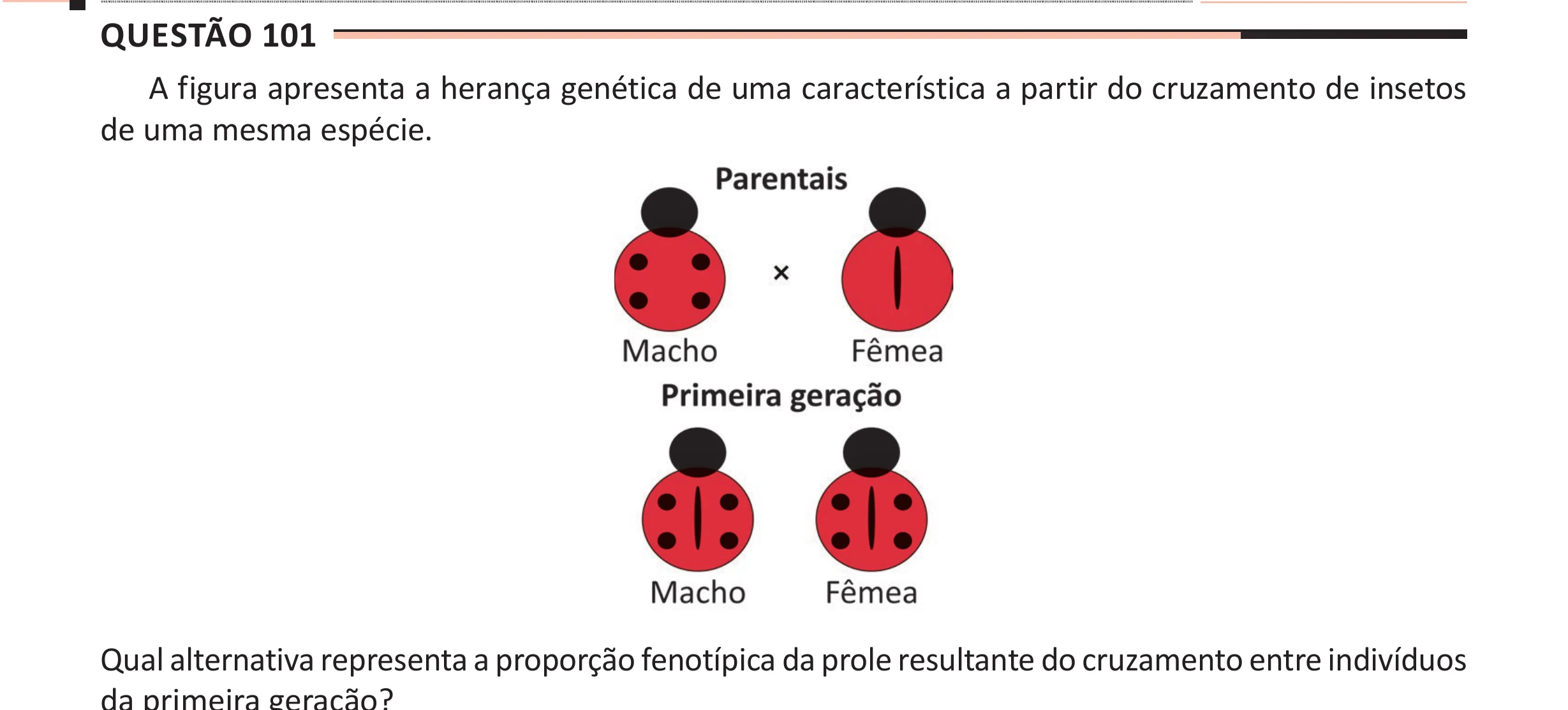 Enunciado original completo da questão 101 do ENEM 2025 - 2º Dia – Caderno 11 – Laranja (Braile e ledor) – Aplicação Regular - (Ampliada), página 6.