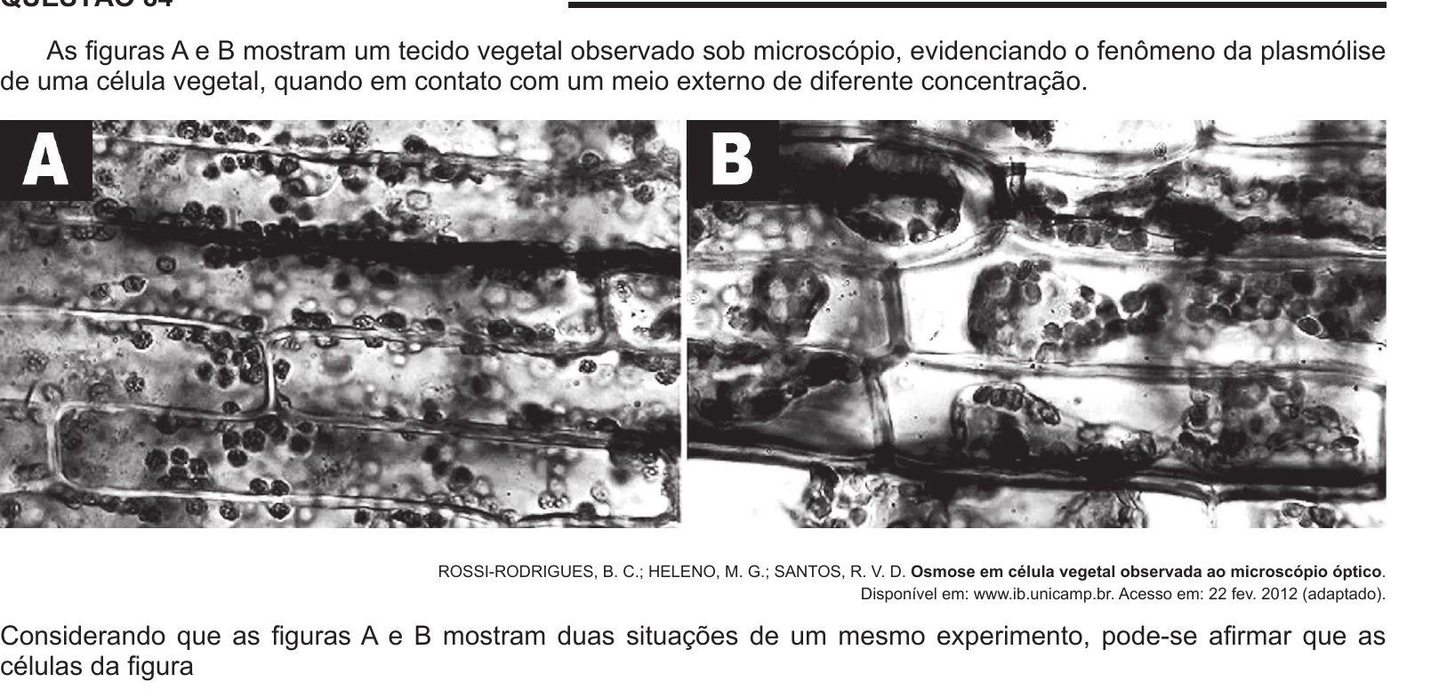 Enunciado original completo da questão 84 do ENEM 2014 - 1º Dia – Caderno 3 – Branco – Terceira aplicação, página 29.