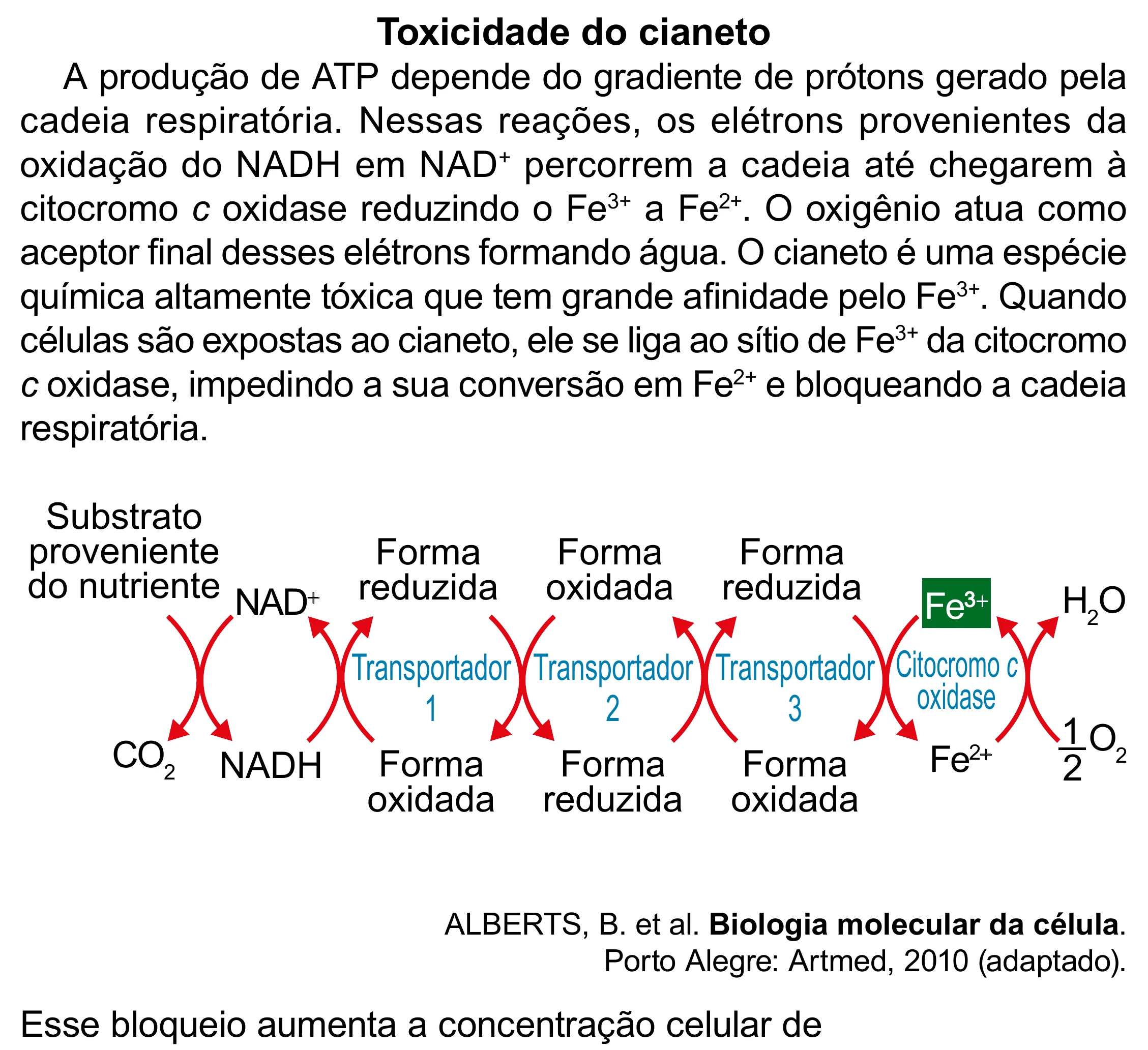 Enunciado original completo da questão 101 do ENEM 2023 - 2º Dia – Caderno 8 – Rosa – Aplicação Regular - (Superampliada), página 14.