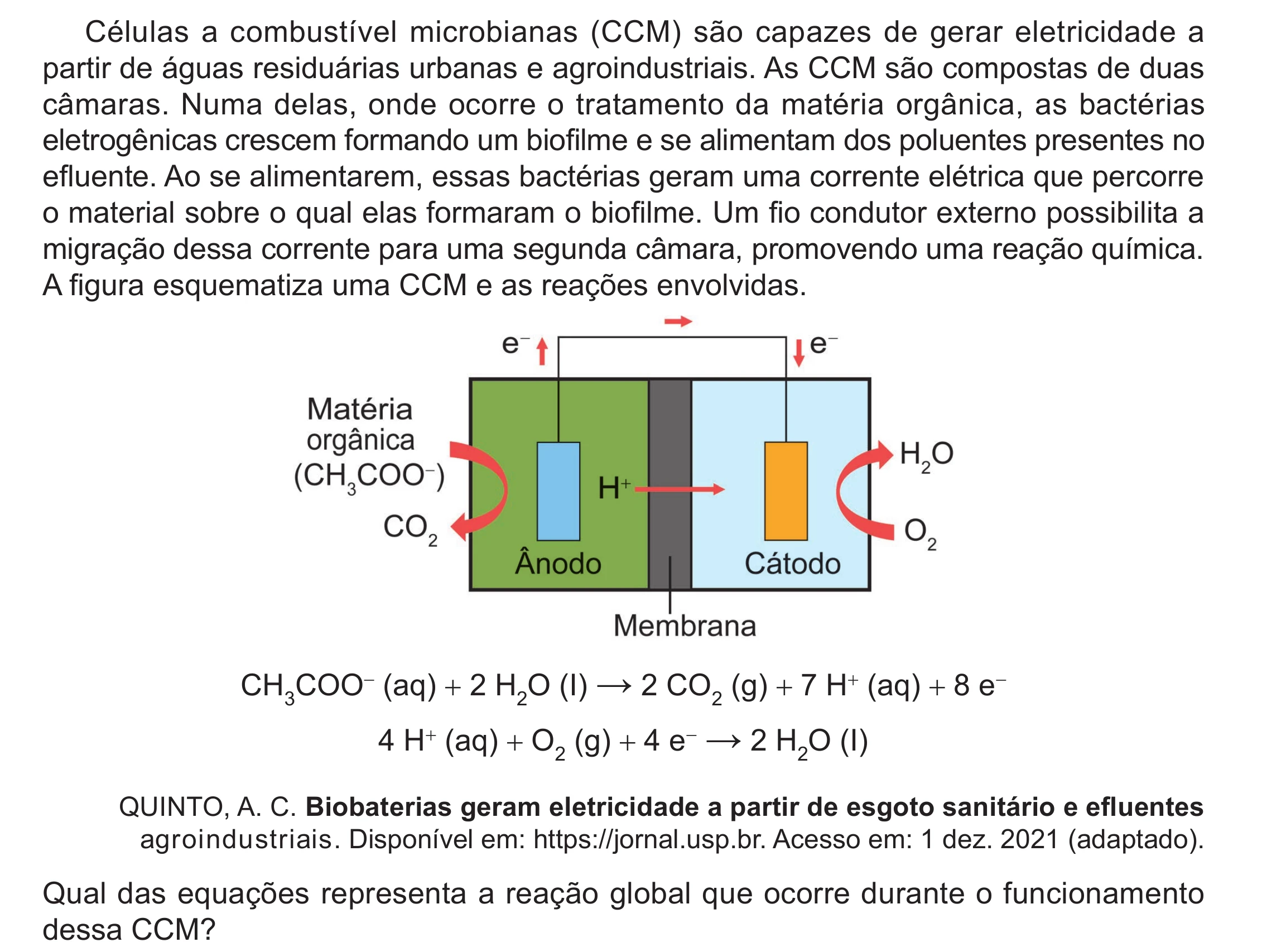 Enunciado original completo da questão 106 do ENEM 2024 - 2º Dia – Caderno 12 – Roxo (Libras) – Aplicação Regular - (Ampliada), página 11.