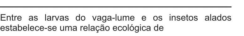 Enunciado original completo da questão 107 do ENEM 2021 - 2º Dia – Caderno 11 – Laranja (braile e ledor) – Reaplicação/PPL/Segunda Oportunidade, página 6.