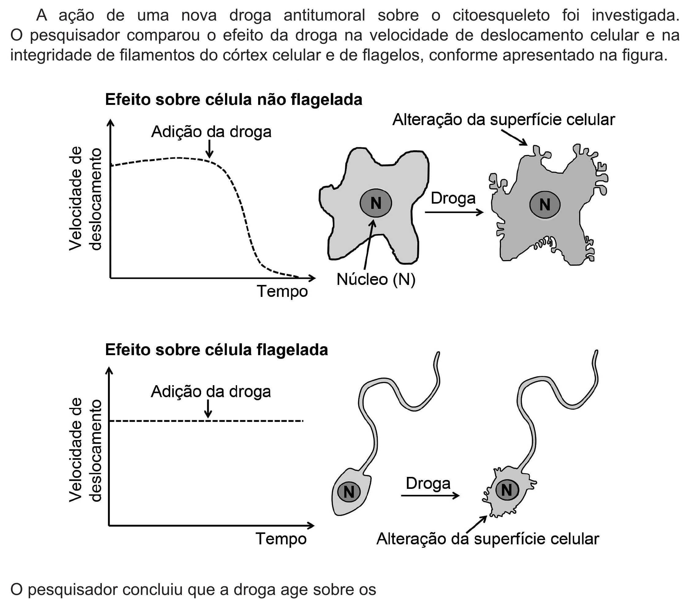 Enunciado original completo da questão 117 do ENEM 2019 - 2º Dia – Caderno 5 – Amarelo (Ampliada) – Reaplicação/PPL, página 20.
