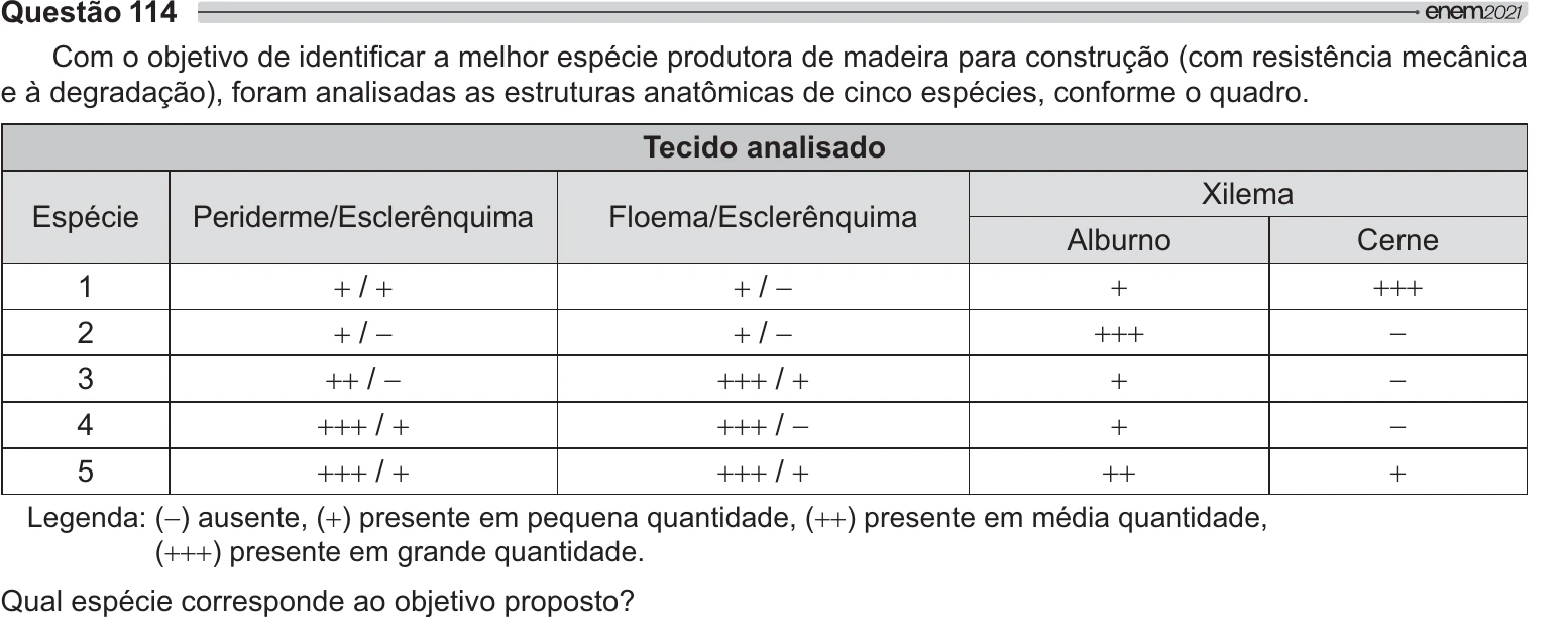 Enunciado original completo da questão 114 do ENEM 2021 - 2º Dia – Caderno 5 – Amarelo – Aplicação Regular, página 10.