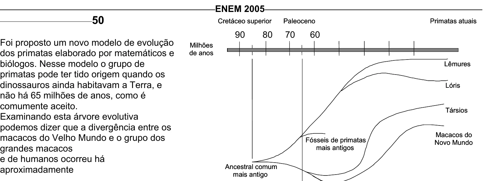 Enunciado original completo da questão 50 do ENEM 2005 - Caderno Amarelo, página 19.