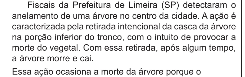 Enunciado original completo da questão 110 do ENEM 2021 - 2º Dia – Caderno 11 – Laranja (braile e ledor) – Reaplicação/PPL/Segunda Oportunidade, página 7.