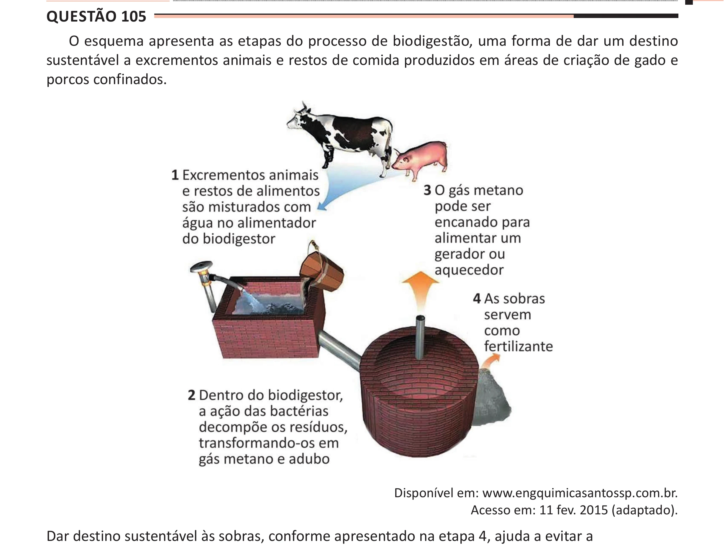 Enunciado original completo da questão 105 do ENEM 2025 - 2º Dia – Caderno 11 – Laranja (Braile e ledor) – Aplicação Regular - (Ampliada), página 9.