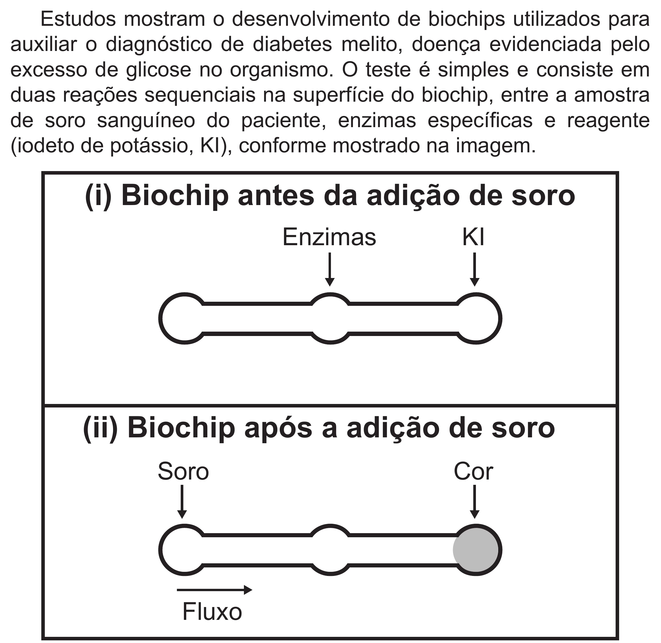 Enunciado original completo da questão 113 do ENEM 2019 - 2º Dia – Caderno 6 – Cinza (Superampliada) – Aplicação Regular, página 23.