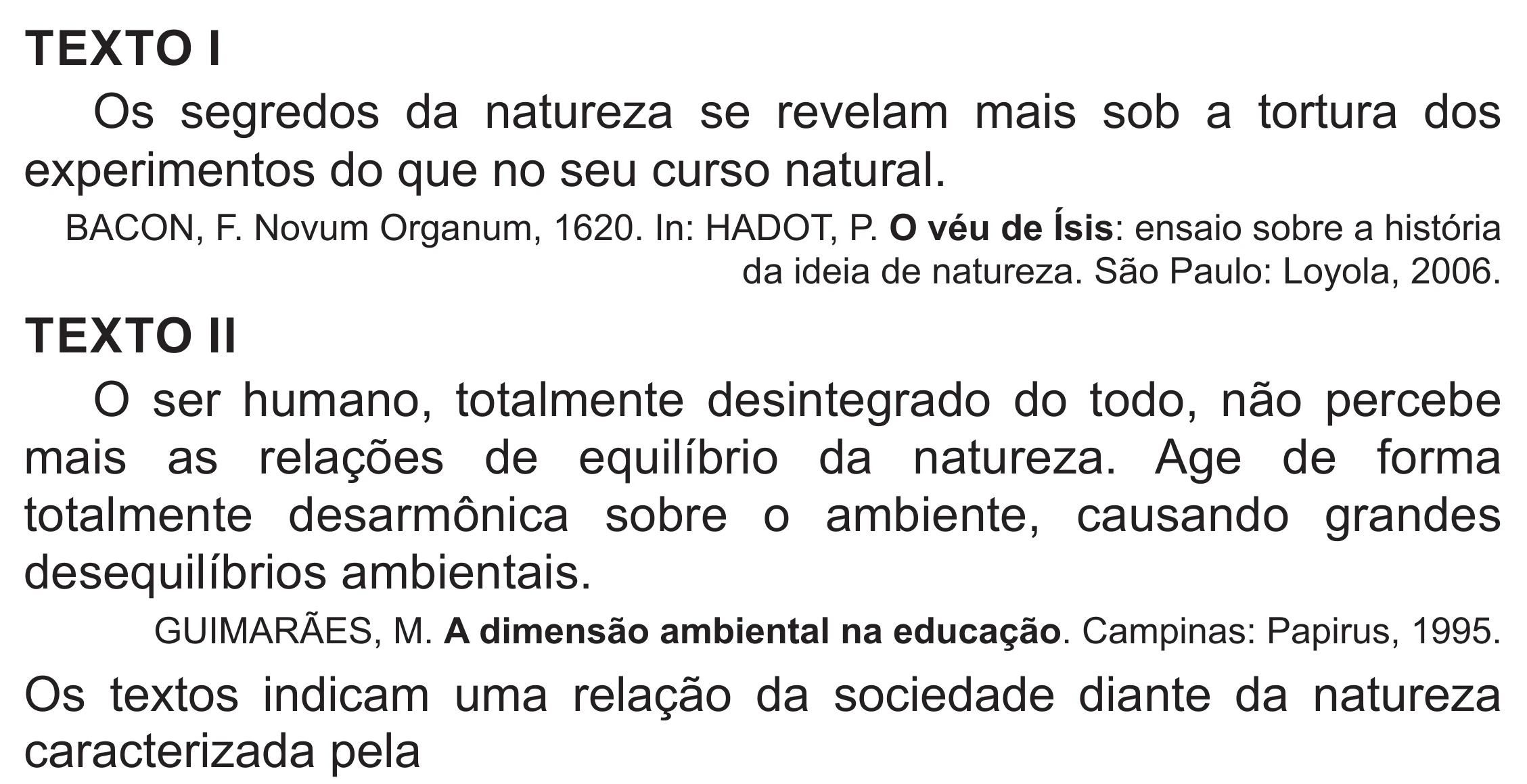 Enunciado original completo da questão 85 do ENEM 2019 - 1º Dia – Caderno 2 – Amarelo (Superampliada) – Aplicação Regular, página 75.