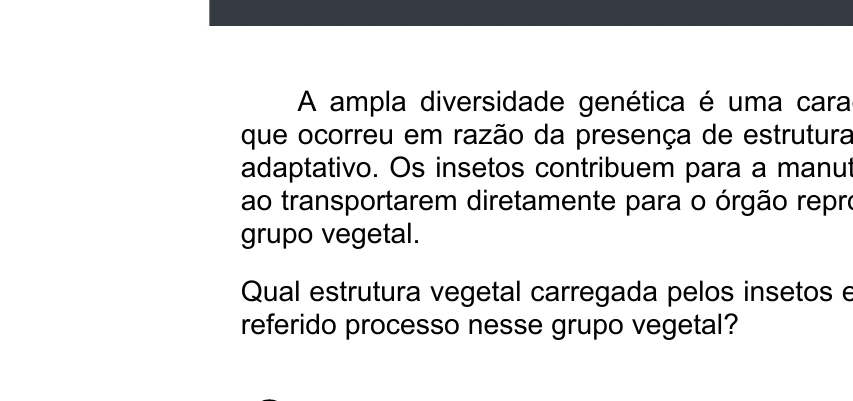 Enunciado original completo da questão 101 do ENEM 2020 - 2º Dia - Caderno 5 – Amarelo – Aplicação digital, página 15.