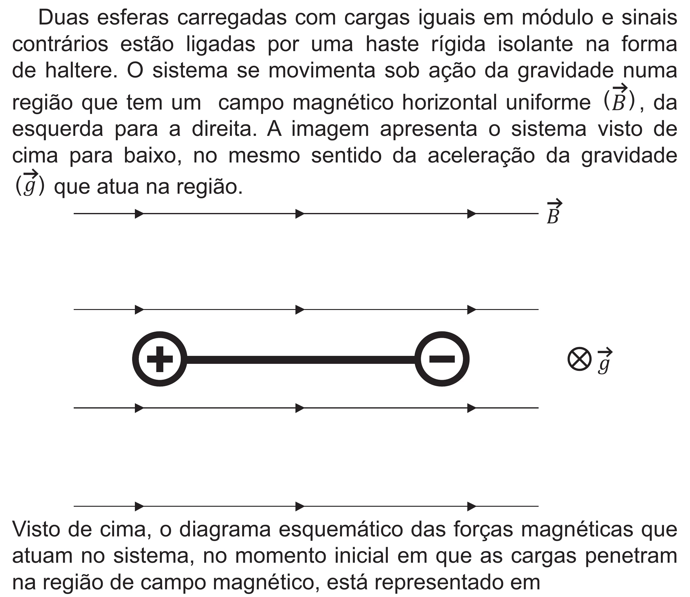 Enunciado original completo da questão 121 do ENEM 2021 - 2º Dia – Caderno 12 – Verde (Libras – Superampliada) – Aplicação Regular, página 30.