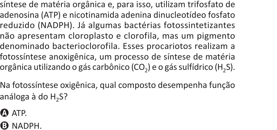Enunciado original completo da questão 121 do ENEM 2025 - 2º Dia – Caderno 5 – Amarelo – Aplicação Regular, página 11.