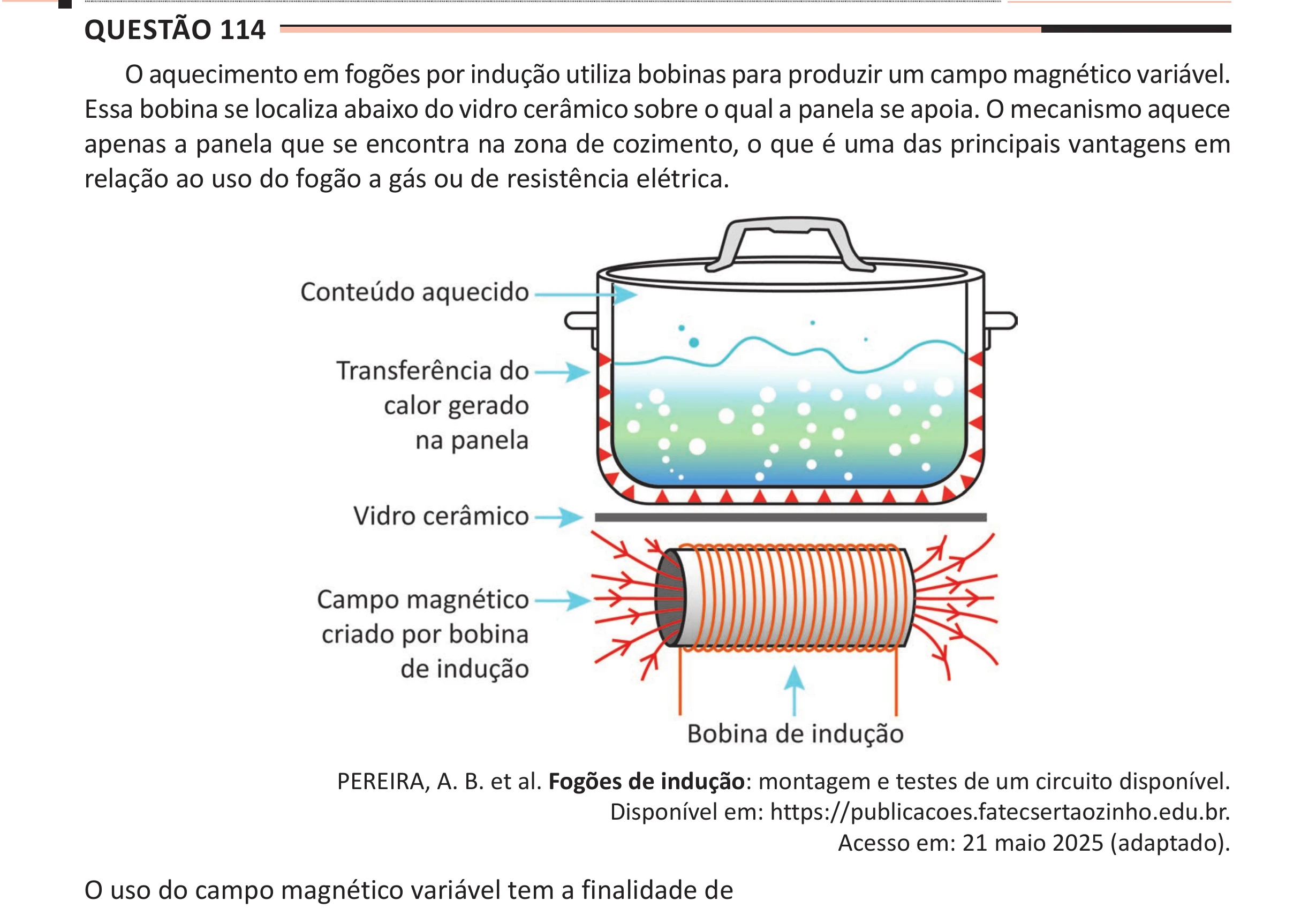 Enunciado original completo da questão 114 do ENEM 2025 - 2º Dia – Caderno 11 – Laranja (Braile e ledor) – Aplicação Regular - (Ampliada), página 16.