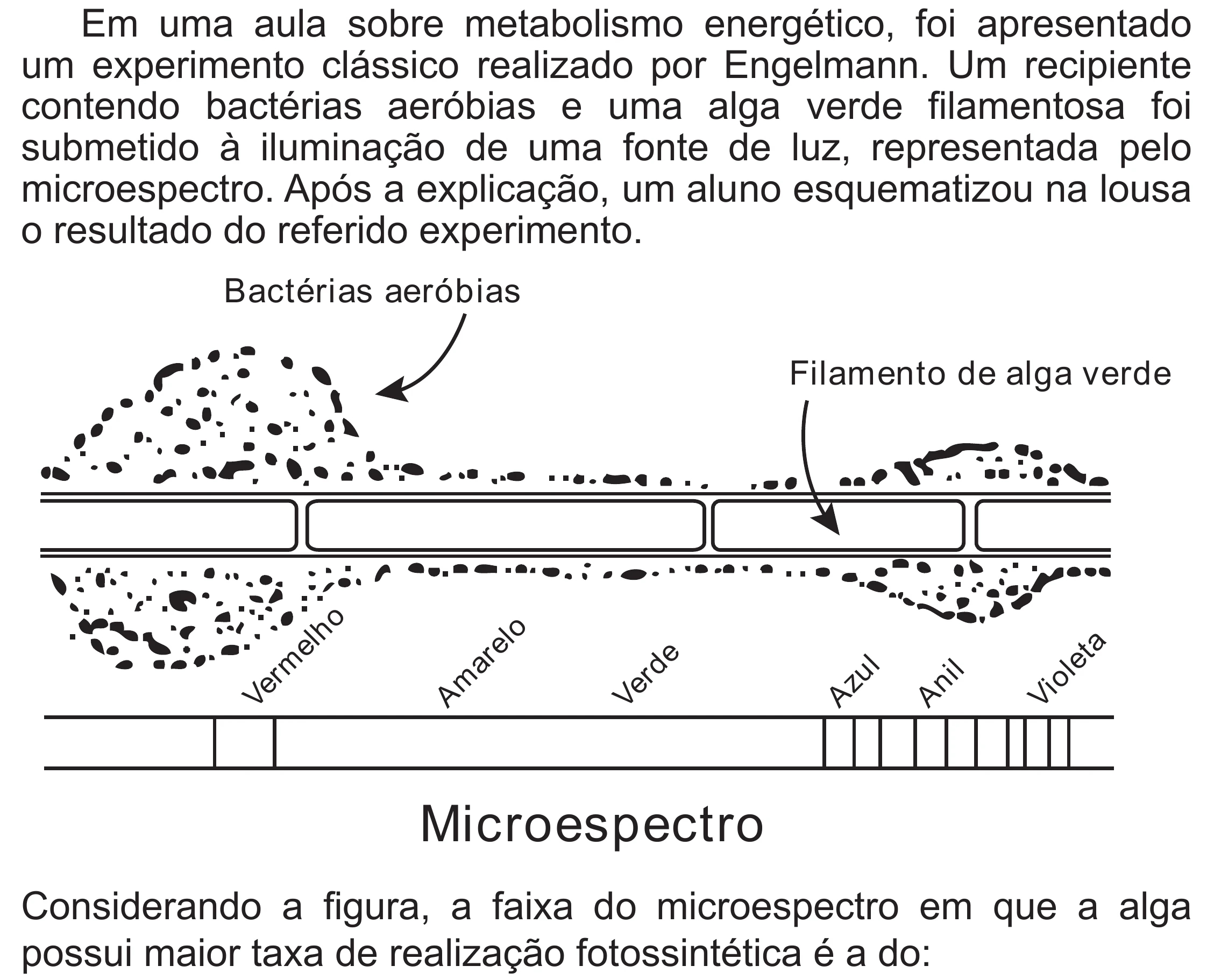 Enunciado original completo da questão 107 do ENEM 2020 - 2º Dia - Caderno 8 – Rosa (Superampliada) – Aplicação Regular, página 17.