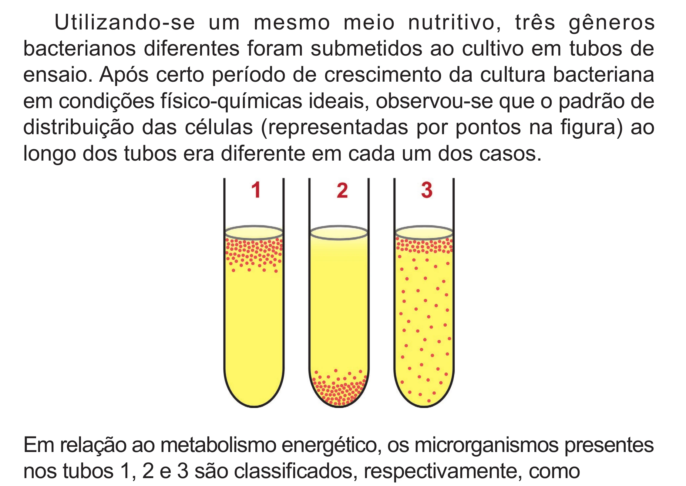 Enunciado original completo da questão 131 do ENEM 2024 - 2º Dia – Caderno 8 – Verde – Aplicação Regular - (Superampliada), página 47.