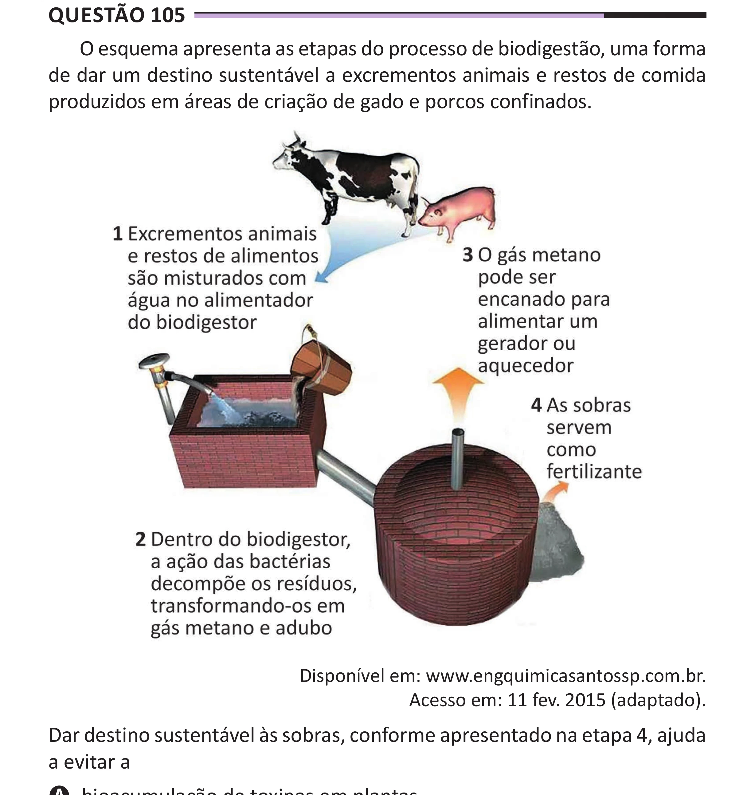 Enunciado original completo da questão 105 do ENEM 2025 - 2º Dia – Caderno 12 – Roxo (Libras) – Aplicação Regular - (Superampliada), página 16.