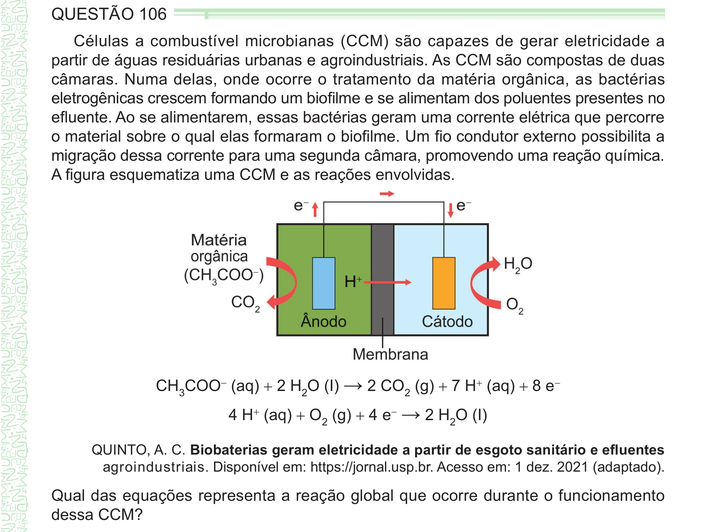 Enunciado original completo da questão 106 do ENEM 2024 - 2º Dia – Caderno 8 – Verde – Aplicação Regular - (Ampliada), página 11.