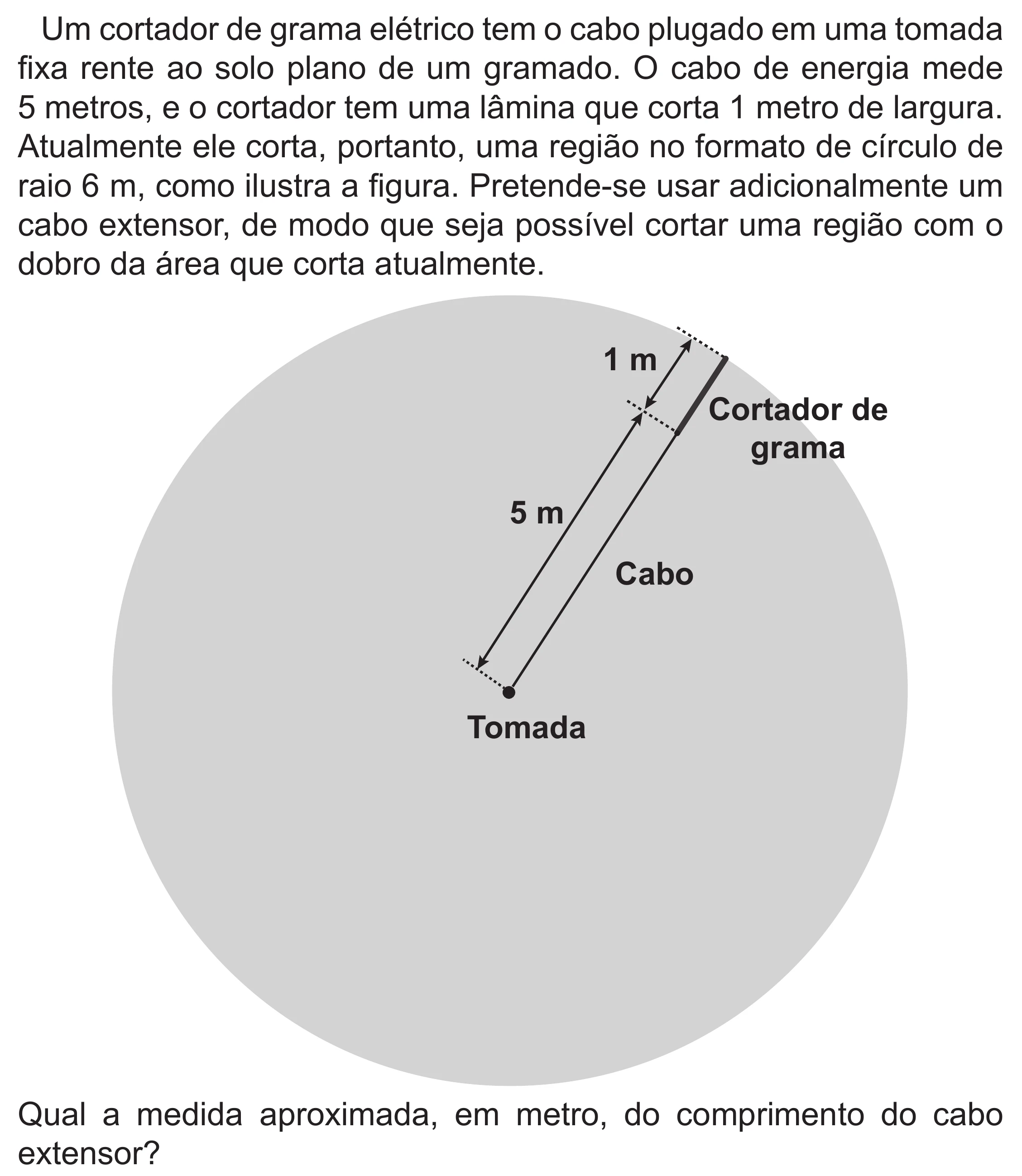 Enunciado original completo da questão 137 do ENEM 2022 - 2º Dia – Caderno 6 – Cinza (Superampliada) – Reaplicação/PPL, página 37.