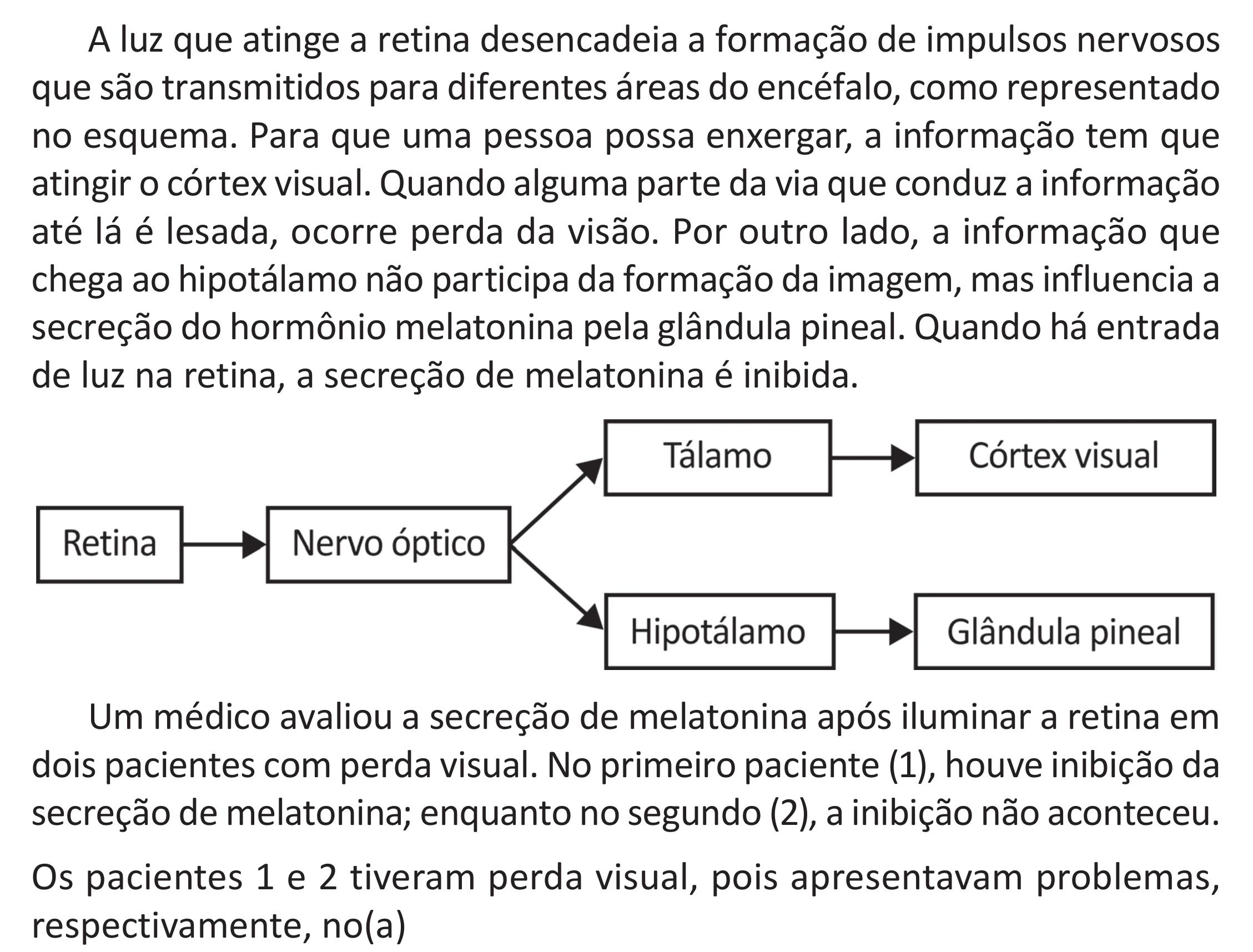Enunciado original completo da questão 124 do ENEM 2025 - 2º Dia – Caderno 11 – Laranja (Braile e ledor) – Aplicação Regular - (Superampliada) - Belém, Ananindeua e Marituba, página 36.