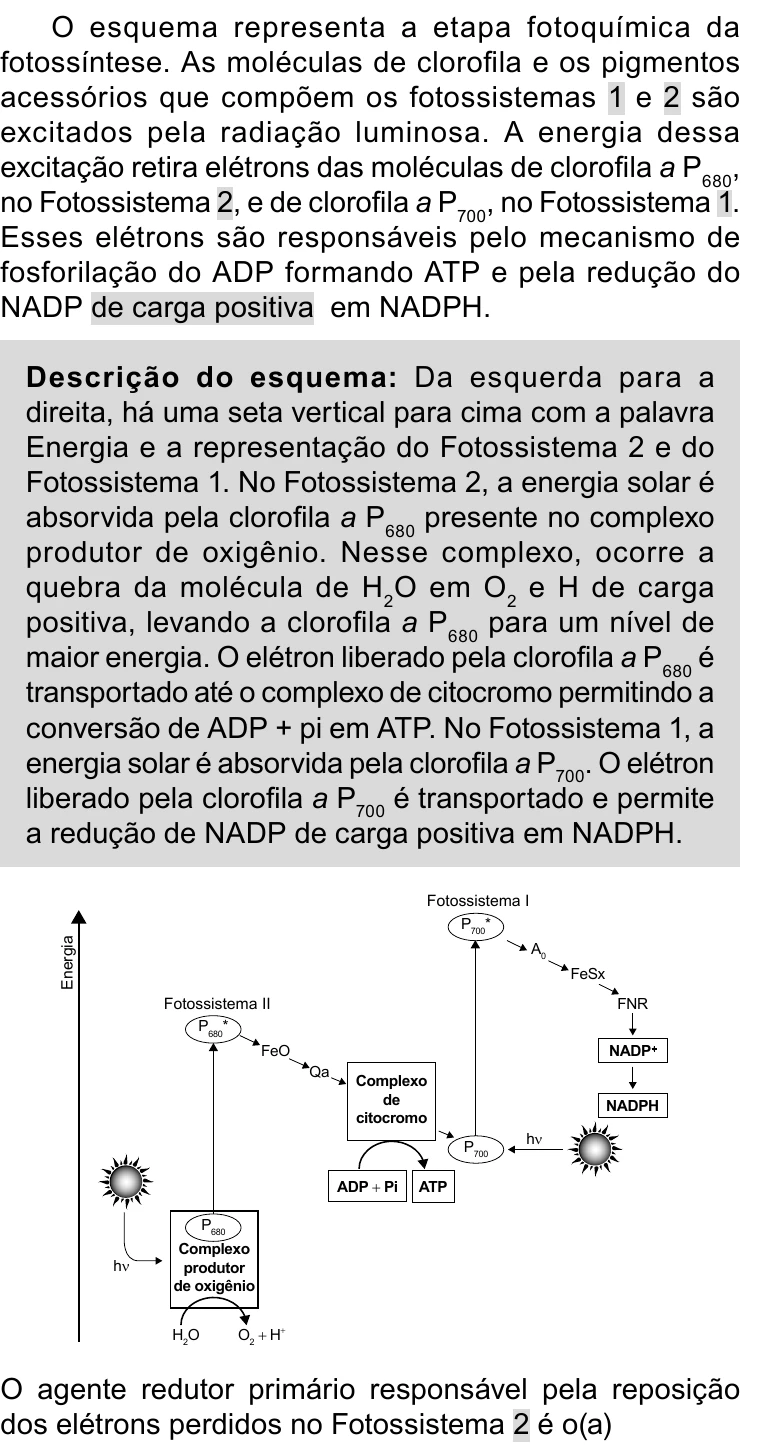 Enunciado original completo da questão 102 do ENEM 2023 - 2º Dia – Caderno 11 – Laranja (braile e ledor) – Reaplicação/PPL, página 5.