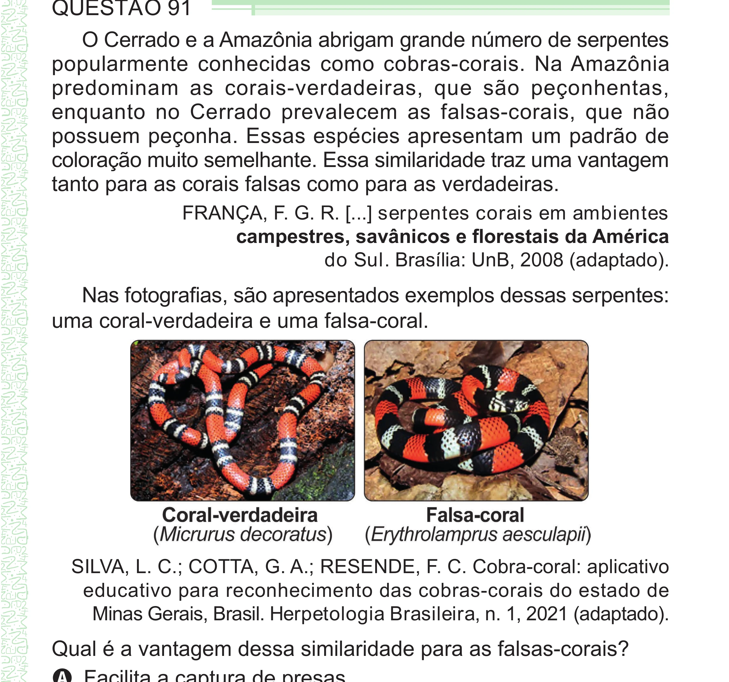 Enunciado original completo da questão 91 do ENEM 2024 - 2º Dia – Caderno 8 – Verde – Aplicação Regular - (Superampliada), página 3.
