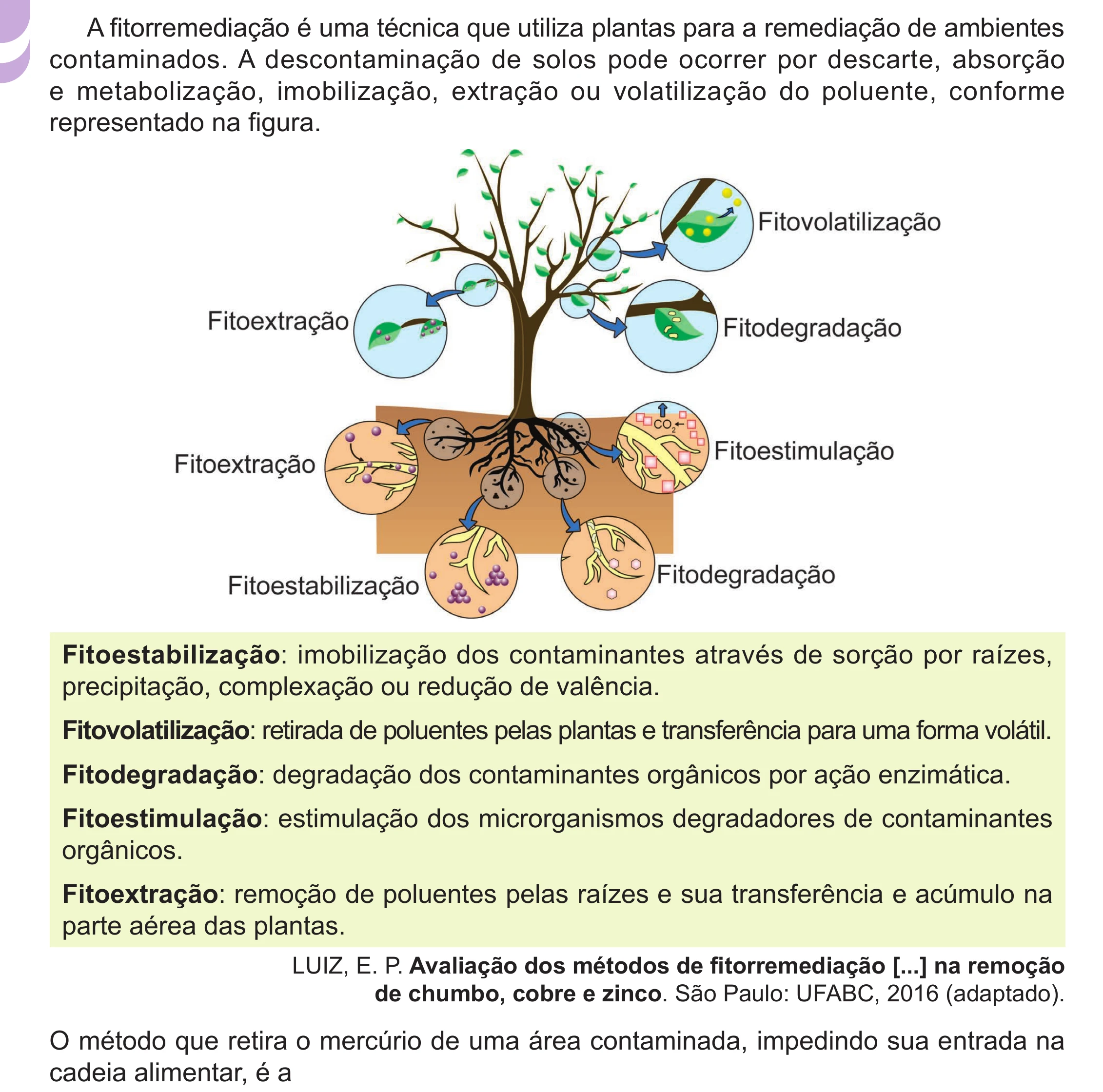 Enunciado original completo da questão 118 do ENEM 2024 - 2º Dia – Caderno 12 – Roxo (Libras) – Aplicação Regular - (Ampliada), página 18.