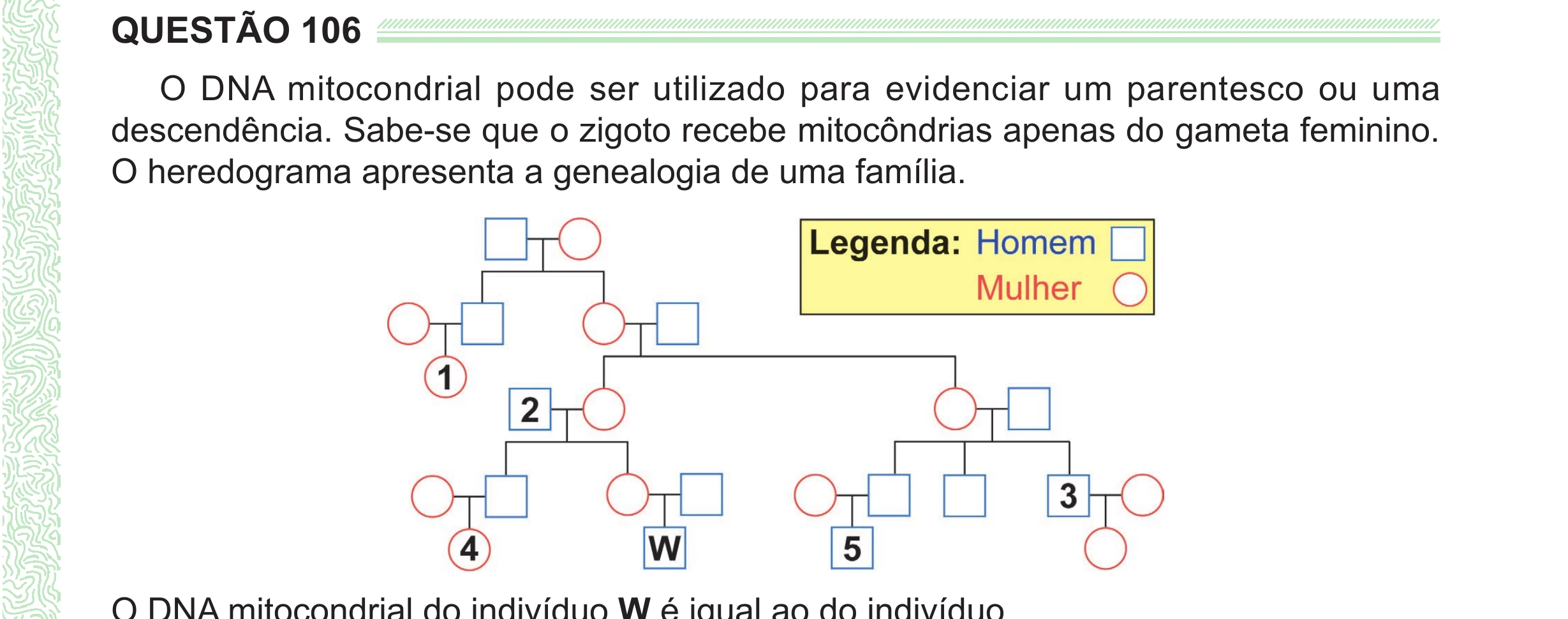 Enunciado original completo da questão 106 do ENEM 2024 - 2º Dia – Caderno 8 – Verde (Ampliada) – Reaplicação/PPL, página 11.