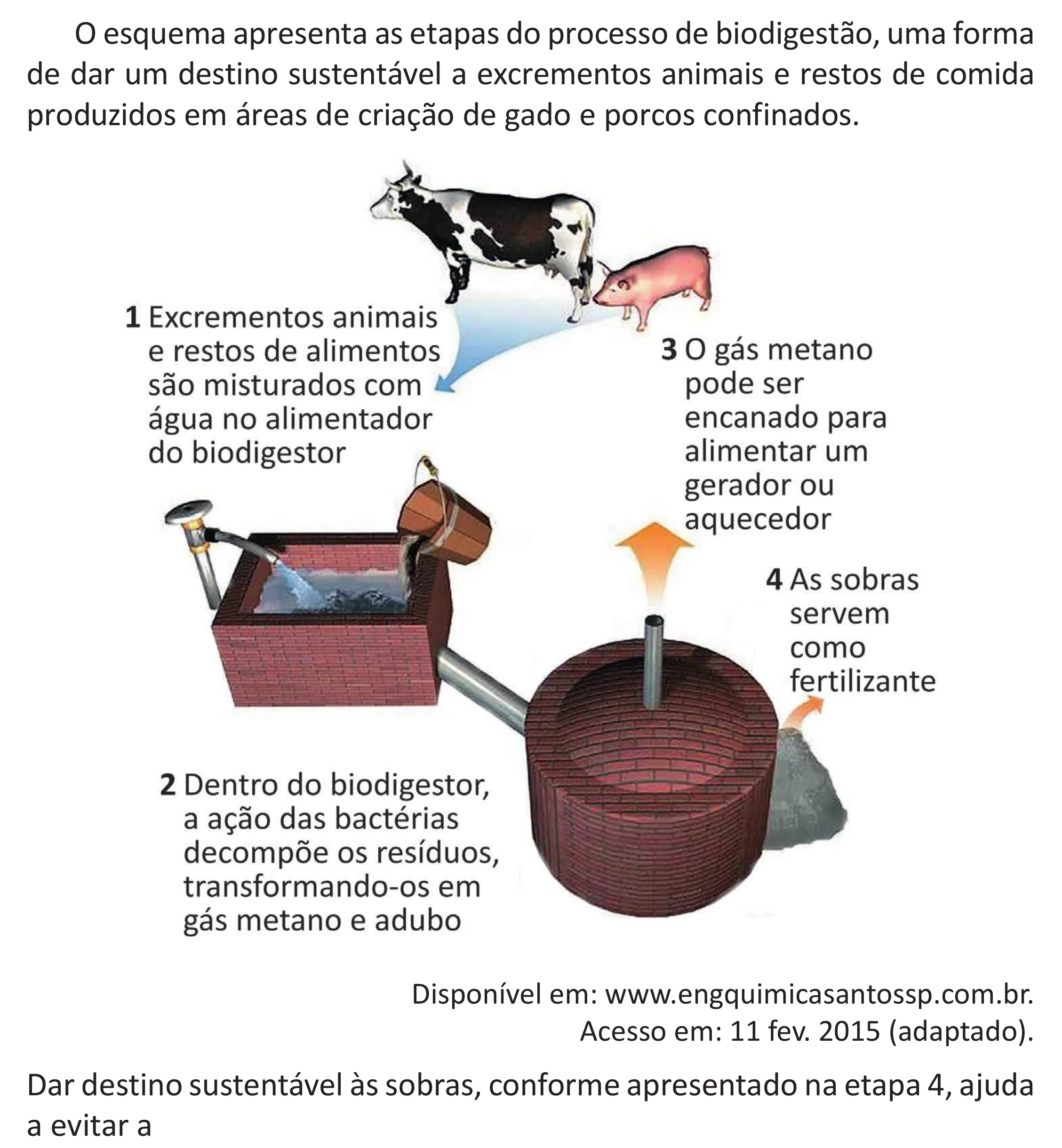 Enunciado original completo da questão 105 do ENEM 2025 - 2º Dia – Caderno 11 – Laranja (Braile e ledor) – Aplicação Regular - (Superampliada), página 16.