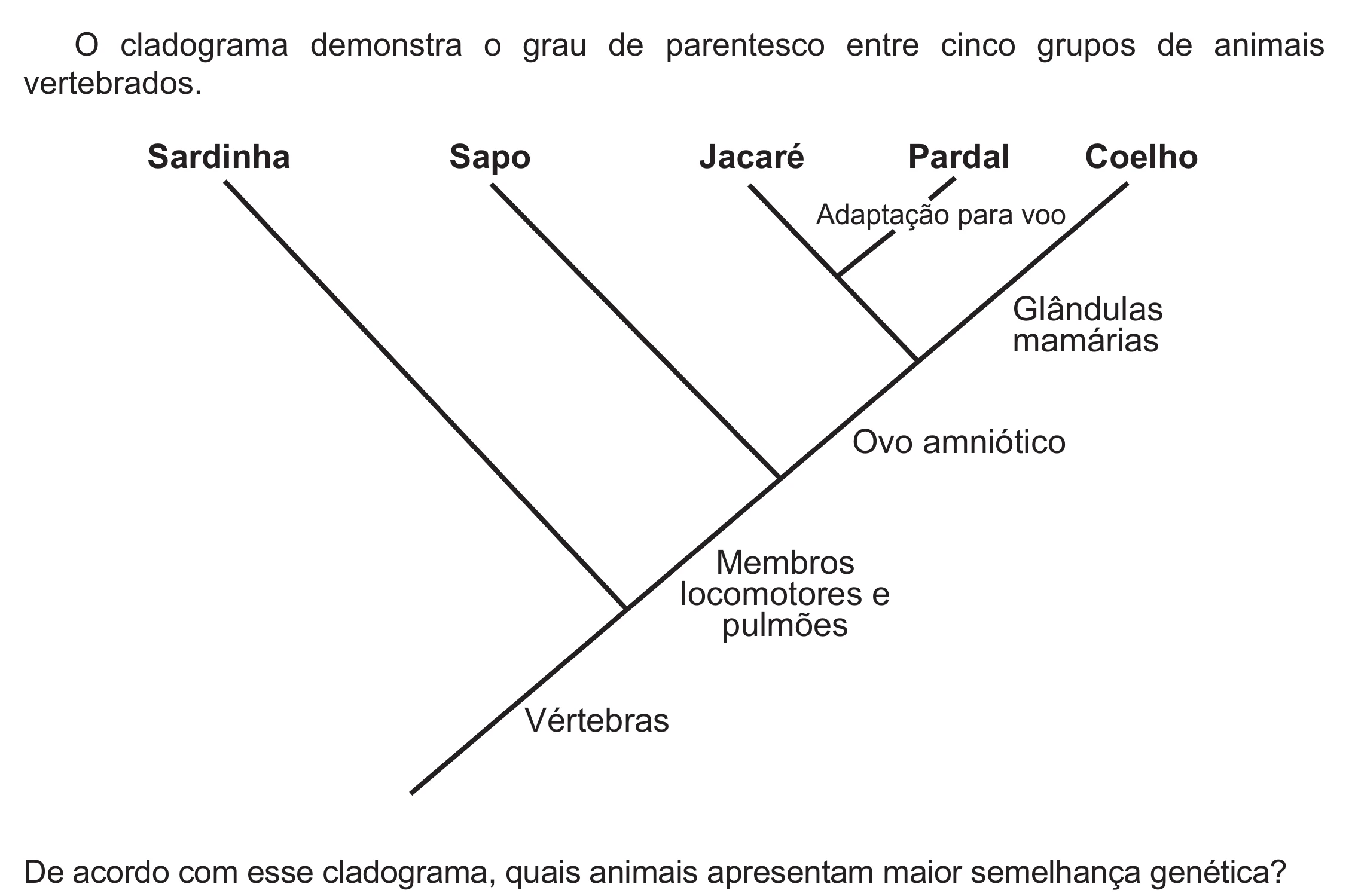 Enunciado original completo da questão 110 do ENEM 2021 - 2º Dia – Caderno 5 – Amarelo (Ampliada) – Reaplicação/PPL/Segunda Oportunidade, página 16.