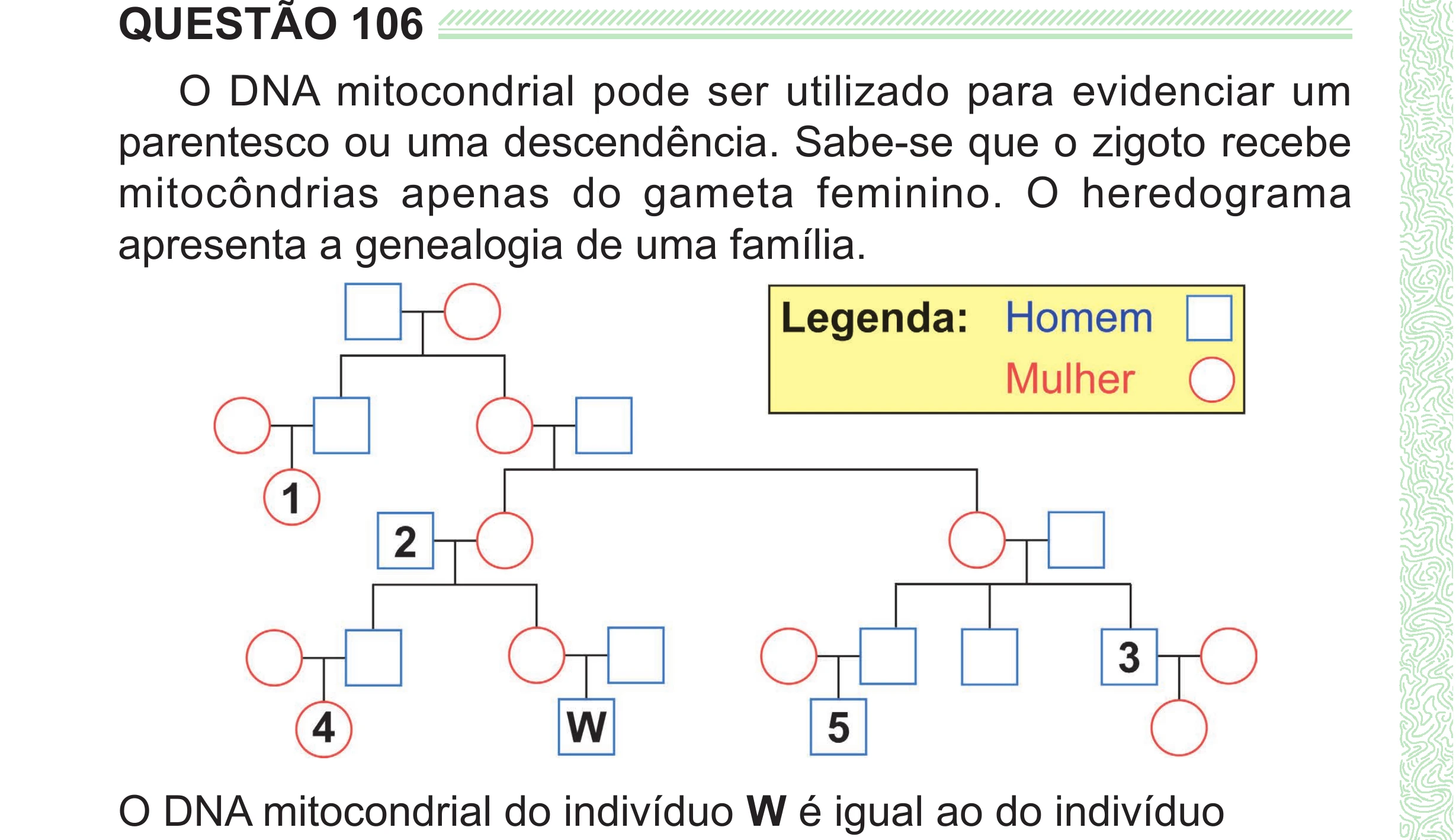 Enunciado original completo da questão 106 do ENEM 2024 - 2º Dia – Caderno 8 – Verde (Superampliada) – Reaplicação/PPL, página 16.