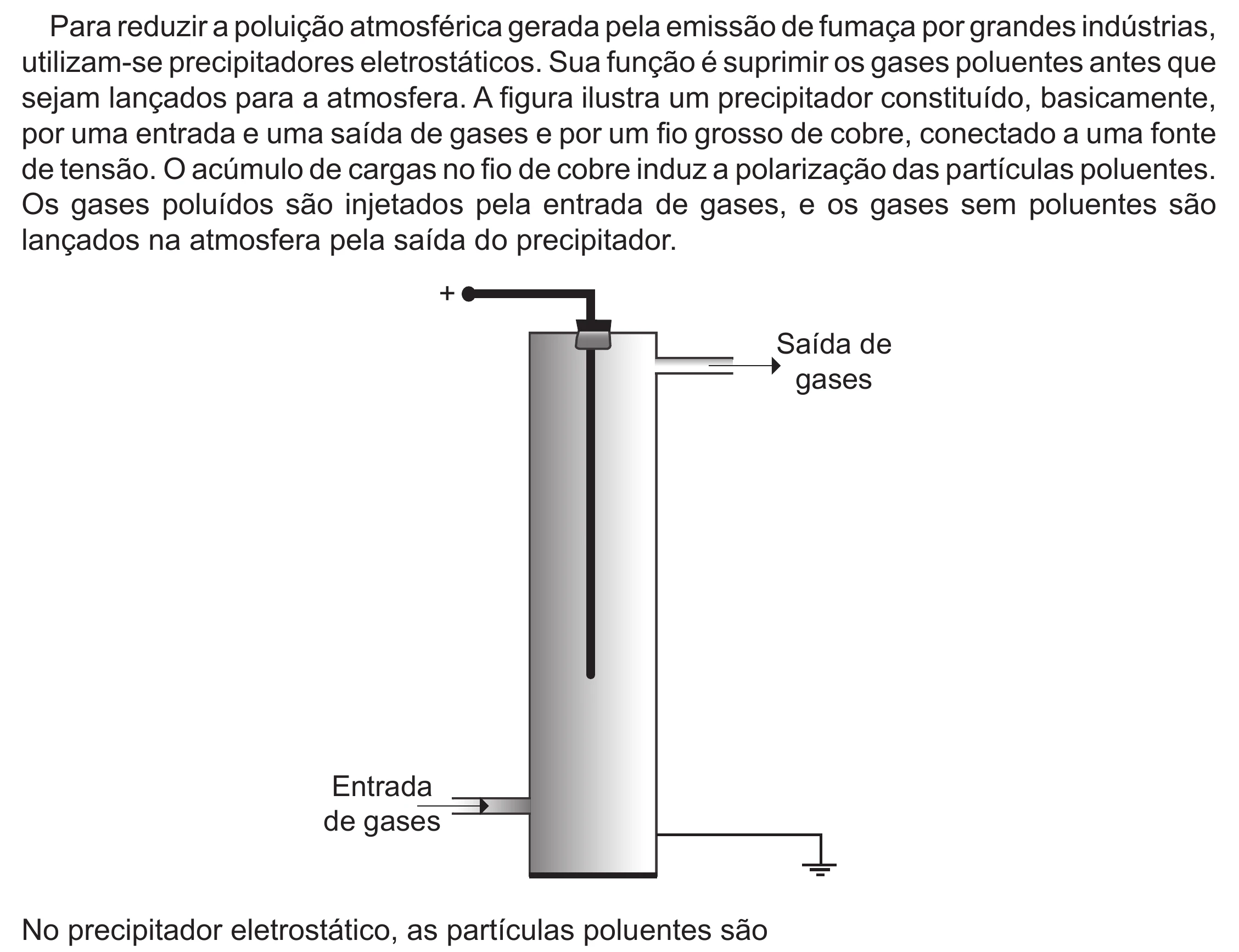 Enunciado original completo da questão 116 do ENEM 2022 - 2º Dia – Caderno 6 – Cinza (Ampliada) – Reaplicação/PPL, página 17.