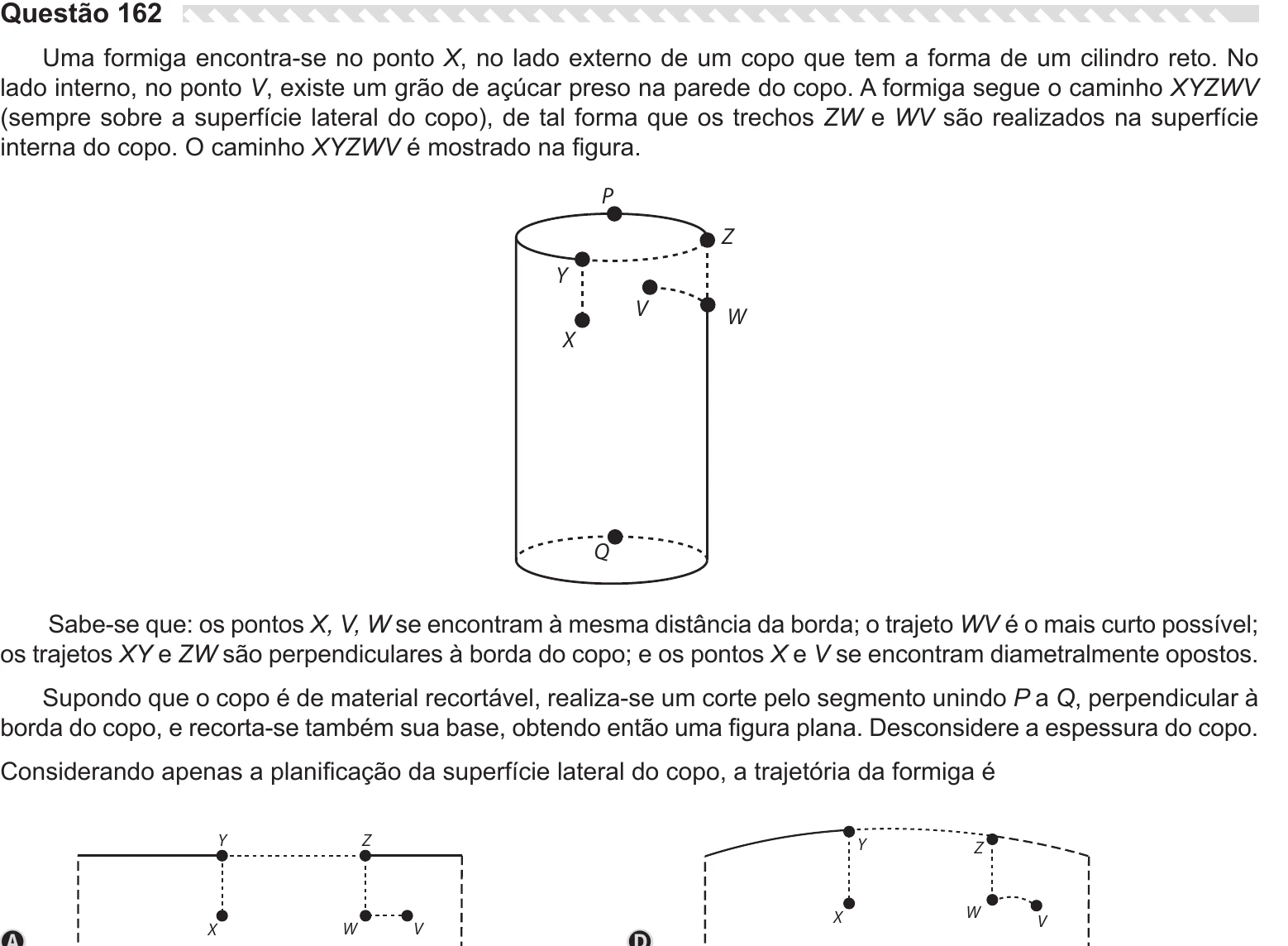 Enunciado original completo da questão 162 do ENEM 2019 - 2º Dia – Caderno 6 – Cinza – Reaplicação/PPL, página 25.