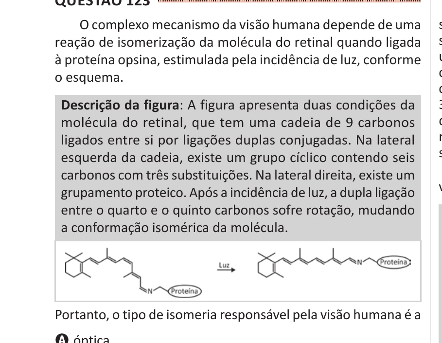 Enunciado original completo da questão 123 do ENEM 2025 - 2º Dia – Caderno 11 – Laranja (Braile e ledor) – Reaplicação - (Ledor), página 11.