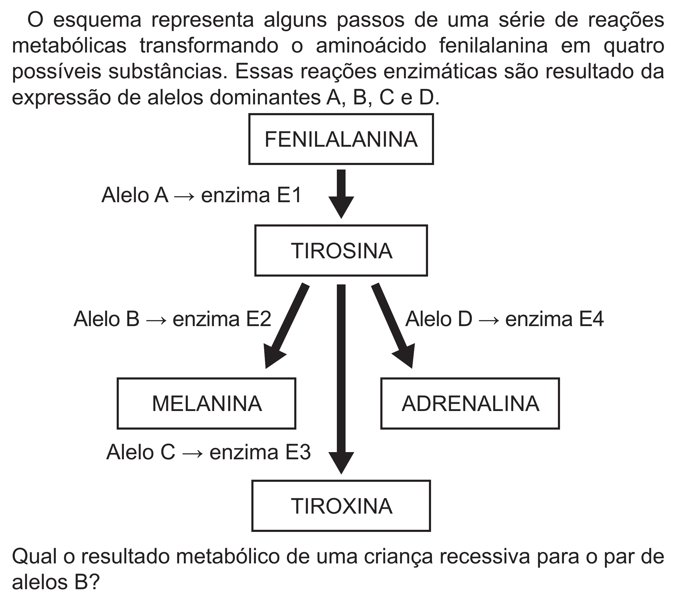 Enunciado original completo da questão 91 do ENEM 2022 - 2º Dia – Caderno 6 – Cinza (Superampliada) – Reaplicação/PPL, página 3.