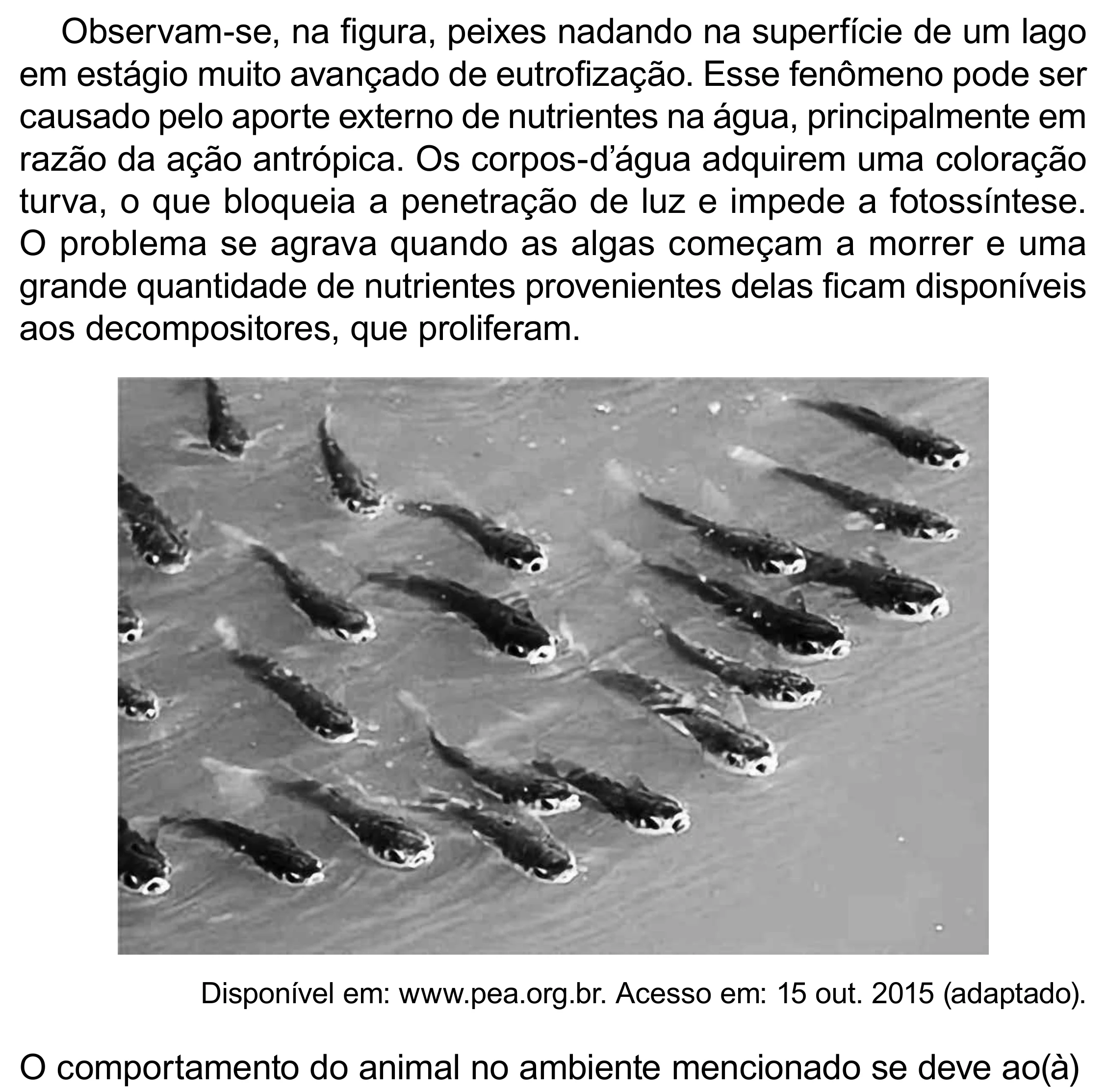 Enunciado original completo da questão 107 do ENEM 2023 - 2º Dia – Caderno 8 – Rosa (Superampliada) – Reaplicação/PPL, página 18.