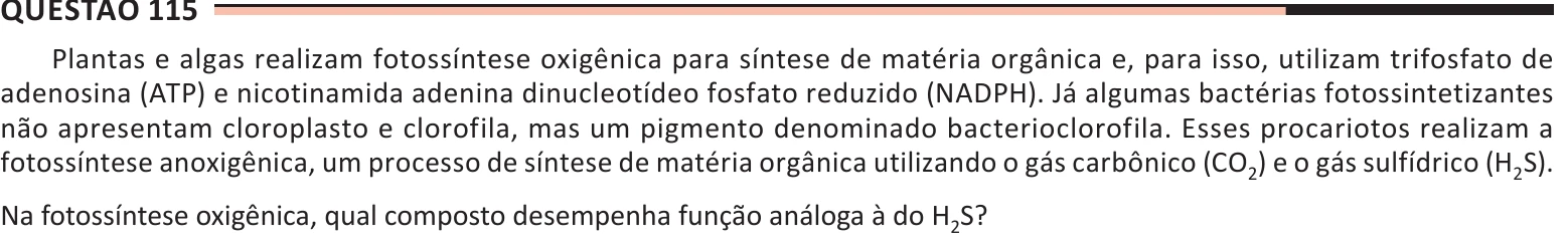 Enunciado original completo da questão 115 do ENEM 2025 - 2º Dia – Caderno 11 – Laranja (Braile e ledor) – Aplicação Regular - (Ledor), página 10.