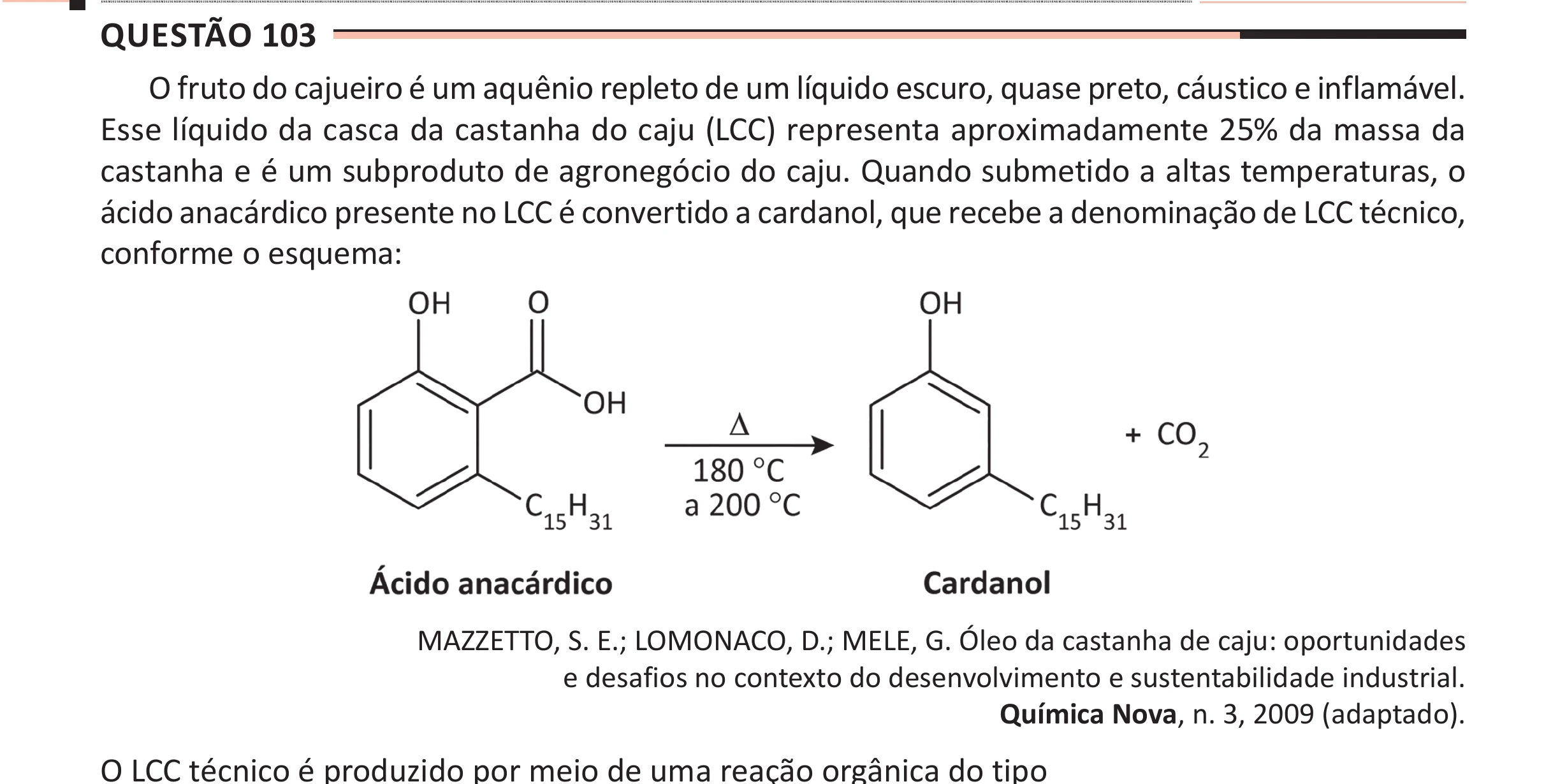 Enunciado original completo da questão 103 do ENEM 2025 - 2º Dia – Caderno 11 – Laranja (Braile e ledor) – Aplicação Regular - (Ampliada), página 8.