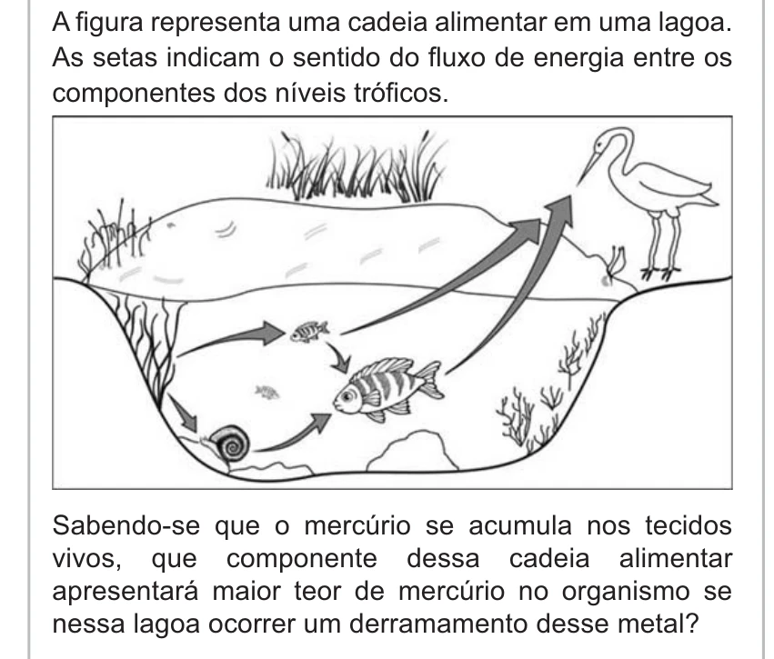 Enunciado original completo da questão 66 do ENEM 2010 - 1º Dia – Caderno 3 – Branco – Reaplicação/PPL, página 22.