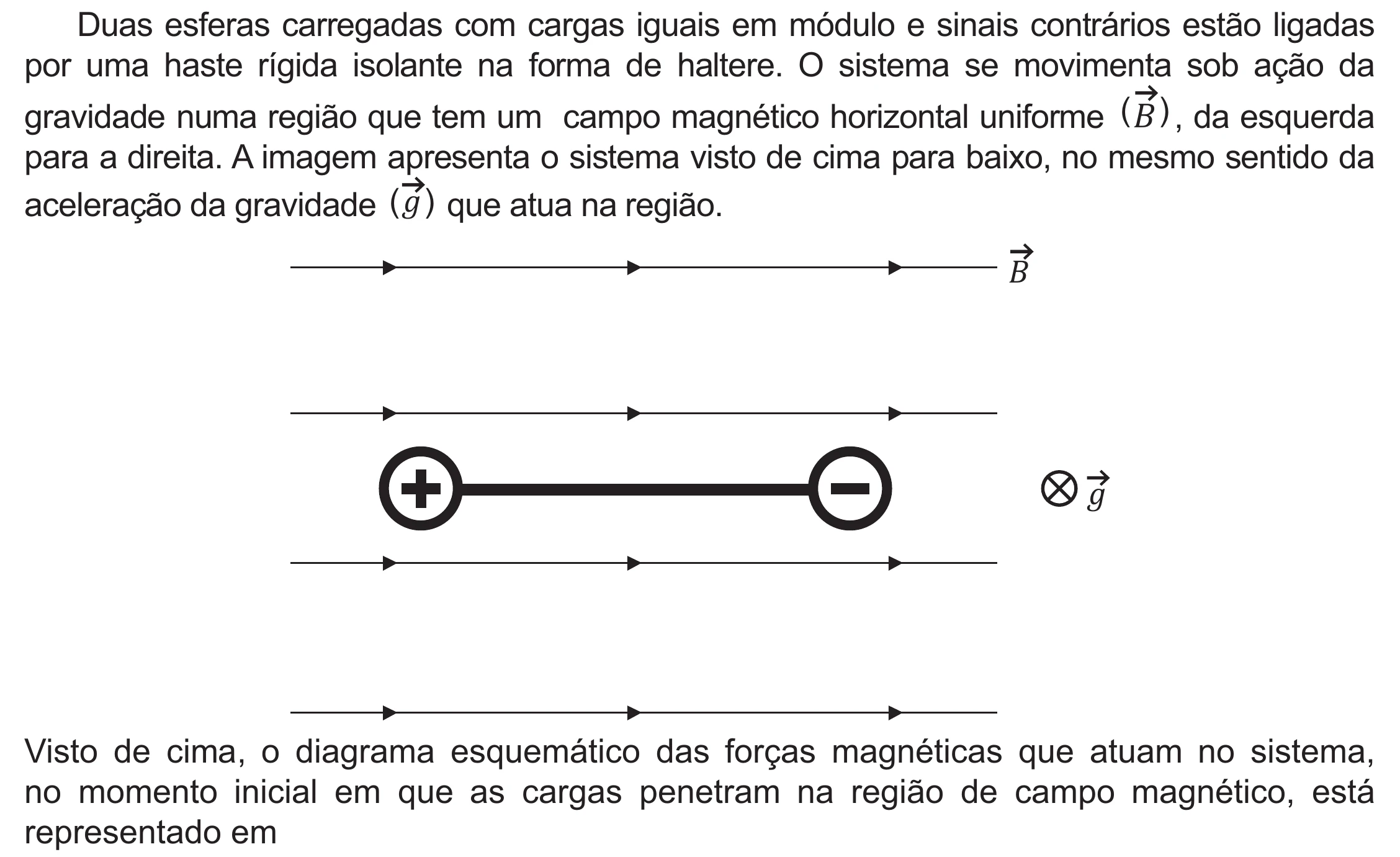 Enunciado original completo da questão 121 do ENEM 2021 - 2º Dia – Caderno 5 – Amarelo (Ampliada) – Aplicação Regular, página 24.