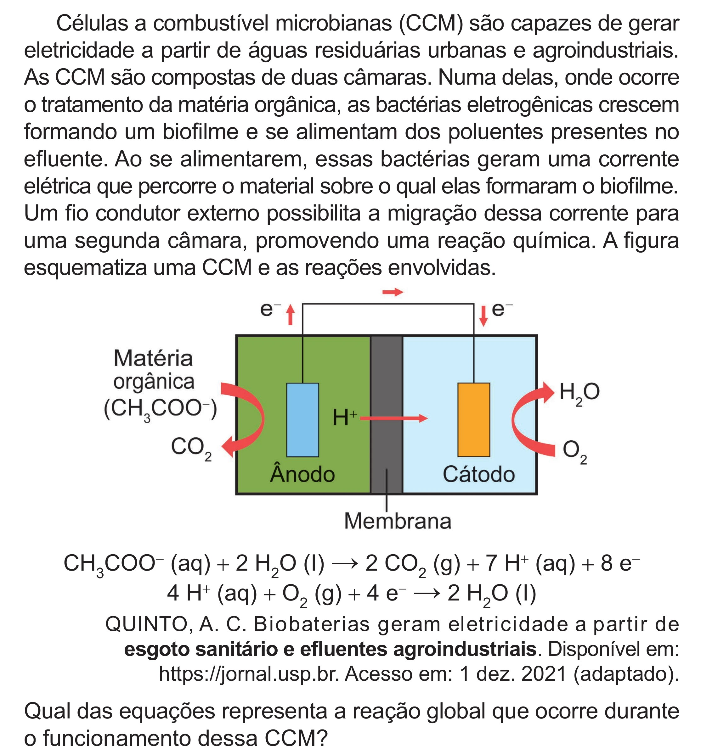 Enunciado original completo da questão 106 do ENEM 2024 - 2º Dia – Caderno 8 – Verde – Aplicação Regular - (Superampliada), página 19.