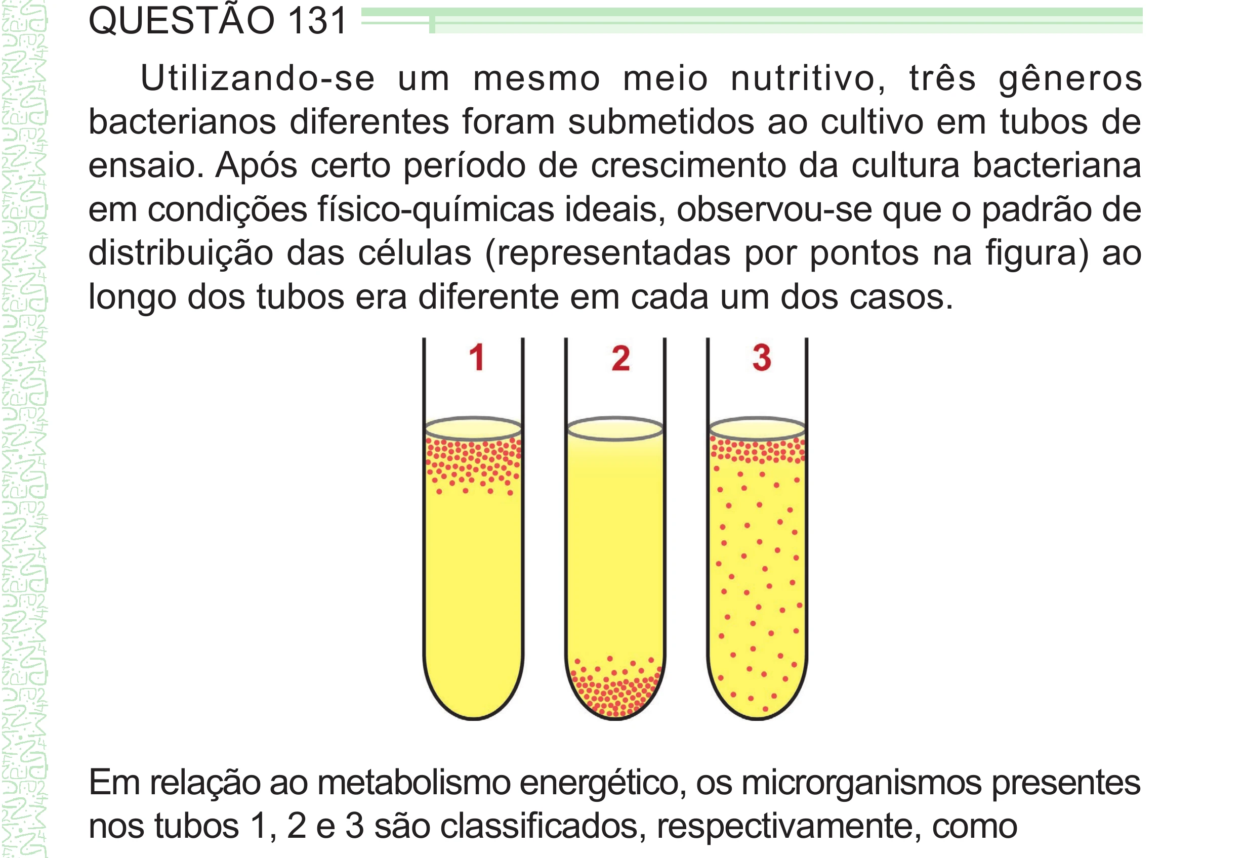 Enunciado original completo da questão 131 do ENEM 2024 - 2º Dia – Caderno 8 – Verde – Aplicação Regular - (Superampliada), página 47.