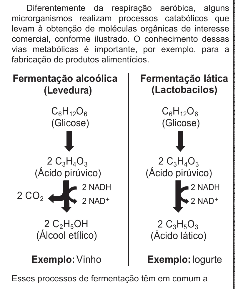Enunciado original completo da questão 106 do ENEM 2022 - 2º Dia – Caderno 6 – Cinza – Reaplicação/PPL, página 7.