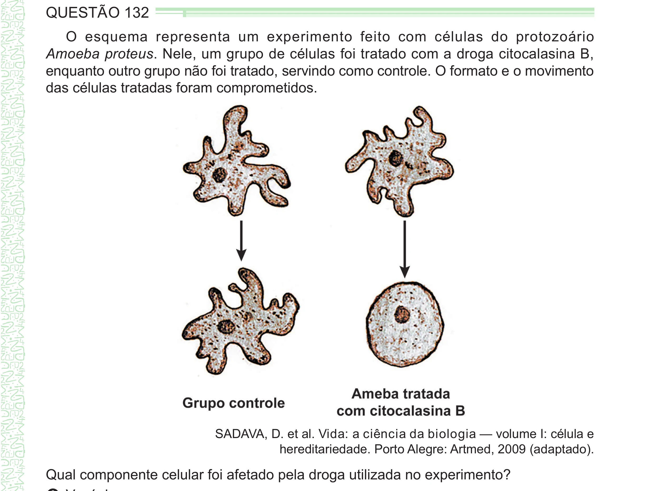 Enunciado original completo da questão 132 do ENEM 2024 - 2º Dia – Caderno 8 – Verde – Aplicação Regular - (Ampliada), página 27.