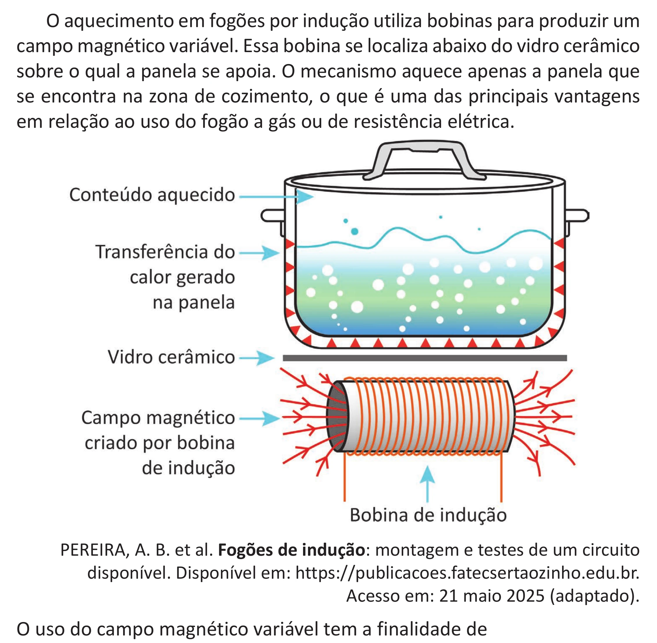 Enunciado original completo da questão 114 do ENEM 2025 - 2º Dia – Caderno 11 – Laranja (Braile e ledor) – Aplicação Regular - (Superampliada), página 26.
