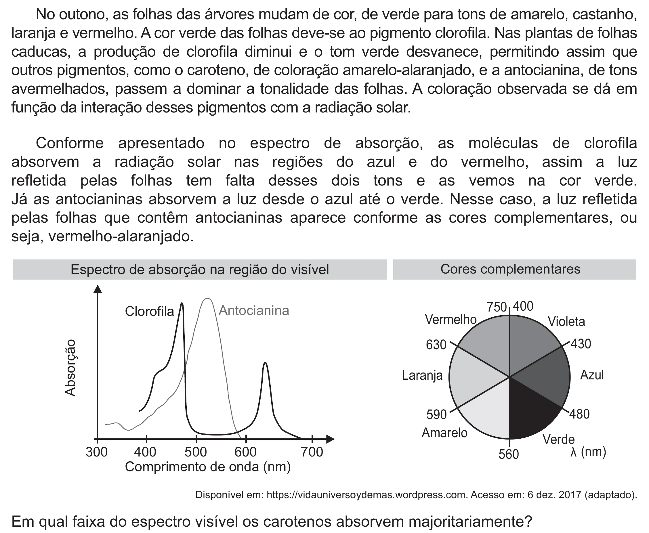 Enunciado original completo da questão 115 do ENEM 2021 - 2º Dia – Caderno 5 – Amarelo (Ampliada) – Aplicação Regular, página 20.