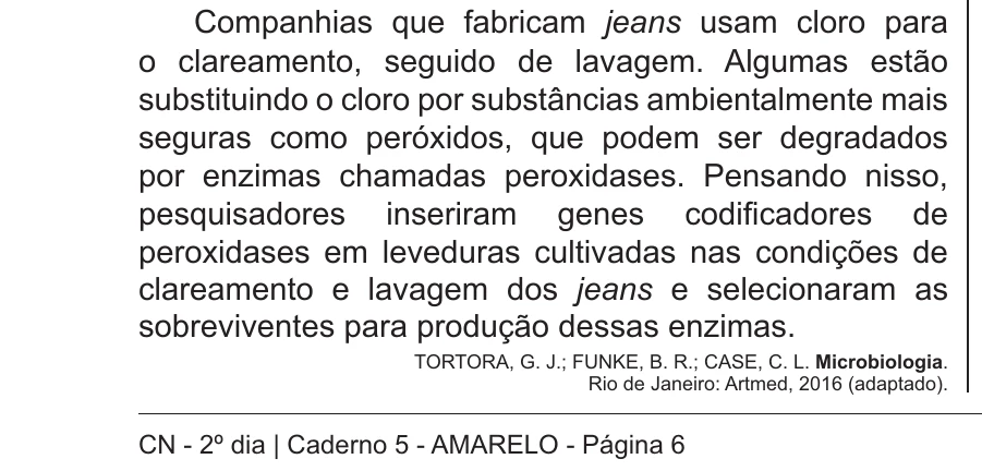 Enunciado original completo da questão 107 do ENEM 2018 - 2º Dia - Caderno 5 - Amarelo – Aplicação regular, página 6.