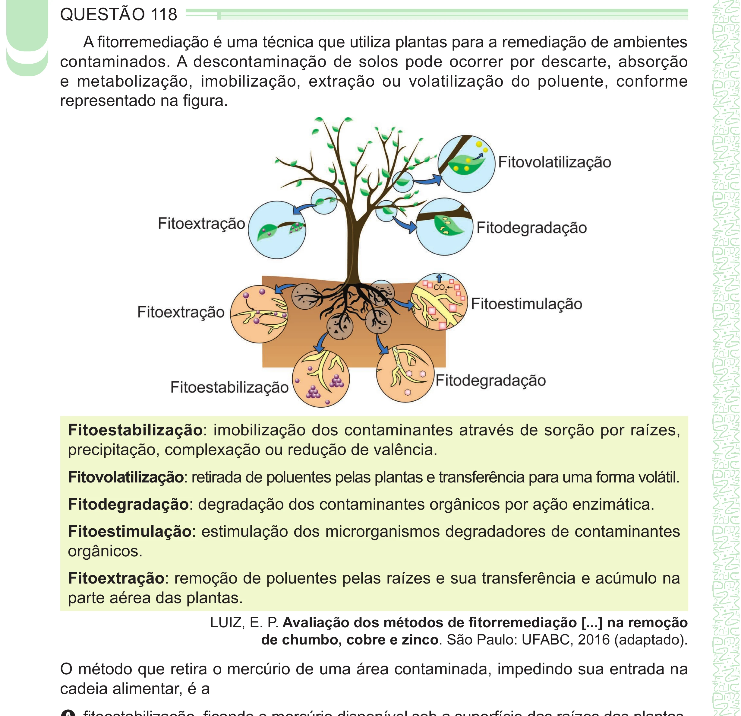 Enunciado original completo da questão 118 do ENEM 2024 - 2º Dia – Caderno 8 – Verde – Aplicação Regular - (Ampliada), página 18.