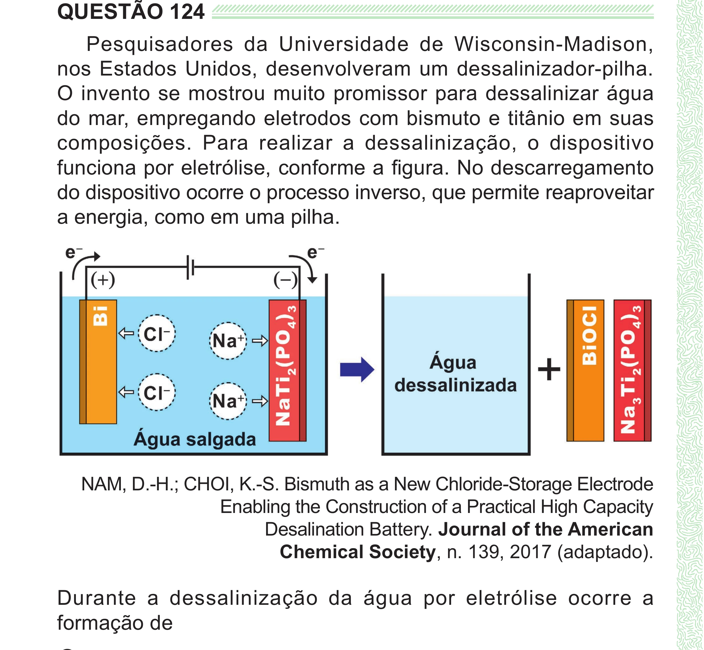 Enunciado original completo da questão 124 do ENEM 2024 - 2º Dia – Caderno 8 – Verde (Superampliada) – Reaplicação/PPL, página 36.