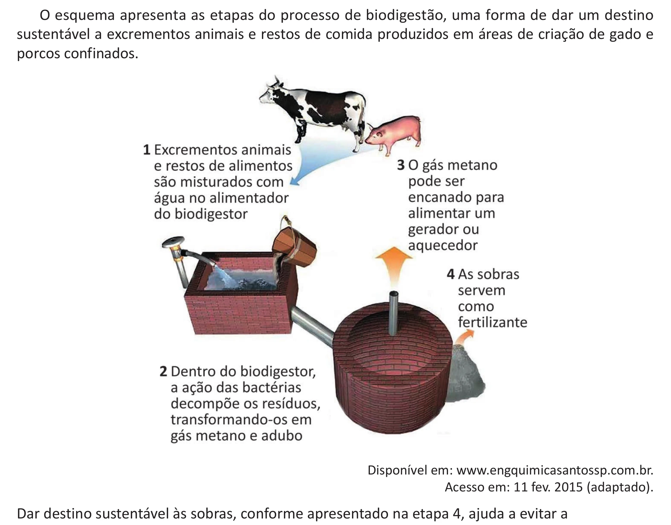 Enunciado original completo da questão 105 do ENEM 2025 - 2º Dia – Caderno 12 – Roxo (Libras) – Aplicação Regular - (Ampliada), página 9.