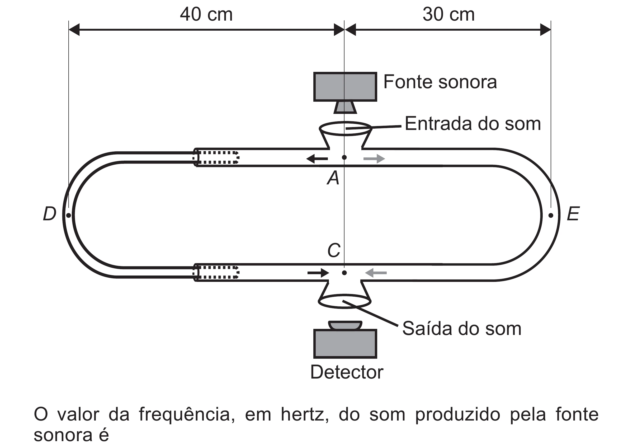 Enunciado original completo da questão 113 do ENEM 2017 - 2º Dia - Caderno 5 – Amarelo (Superampliada) – Aplicação regular, página 21.